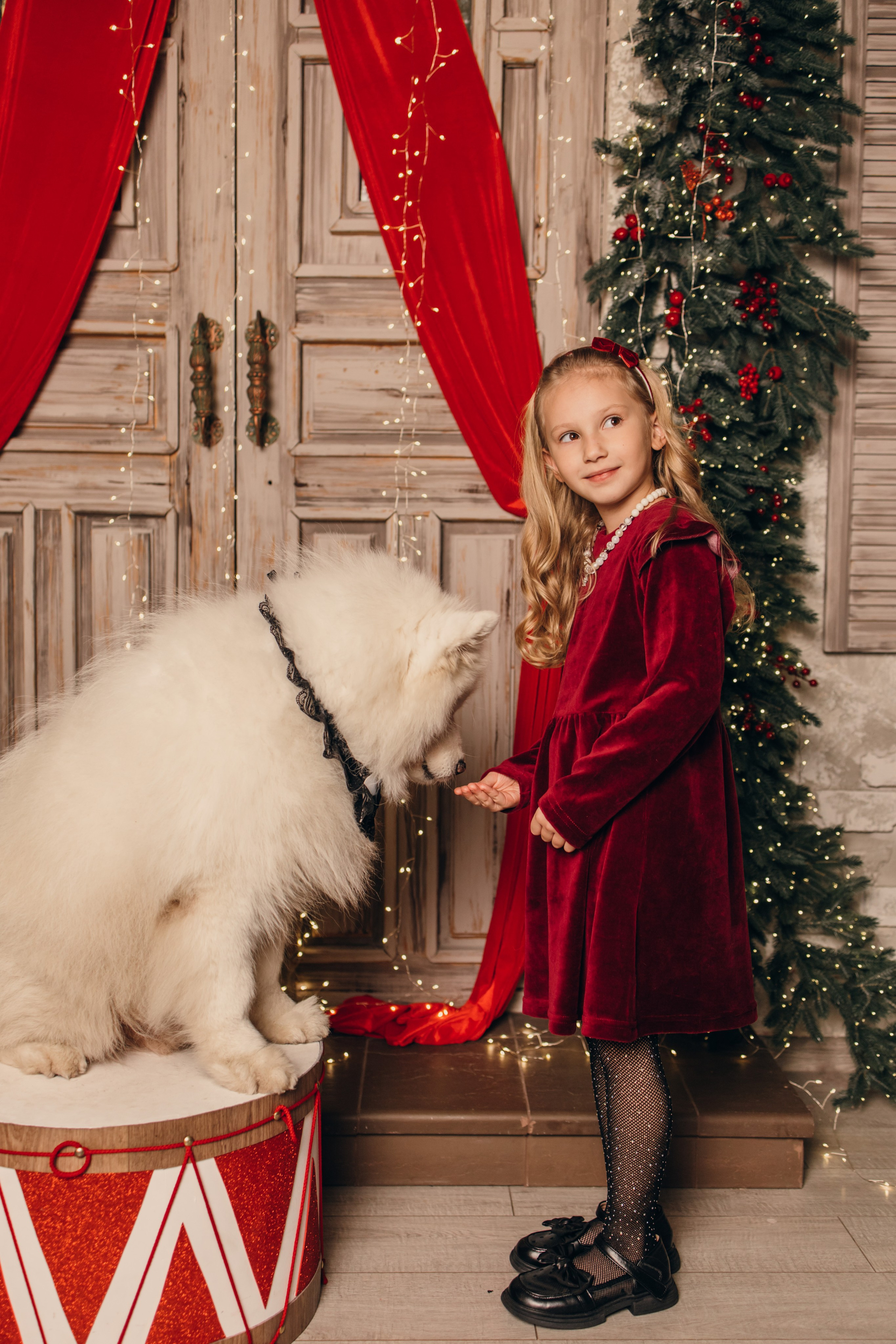 Новогодний самоед. Коновалова Ольга | фотограф в Пензе и Заречном