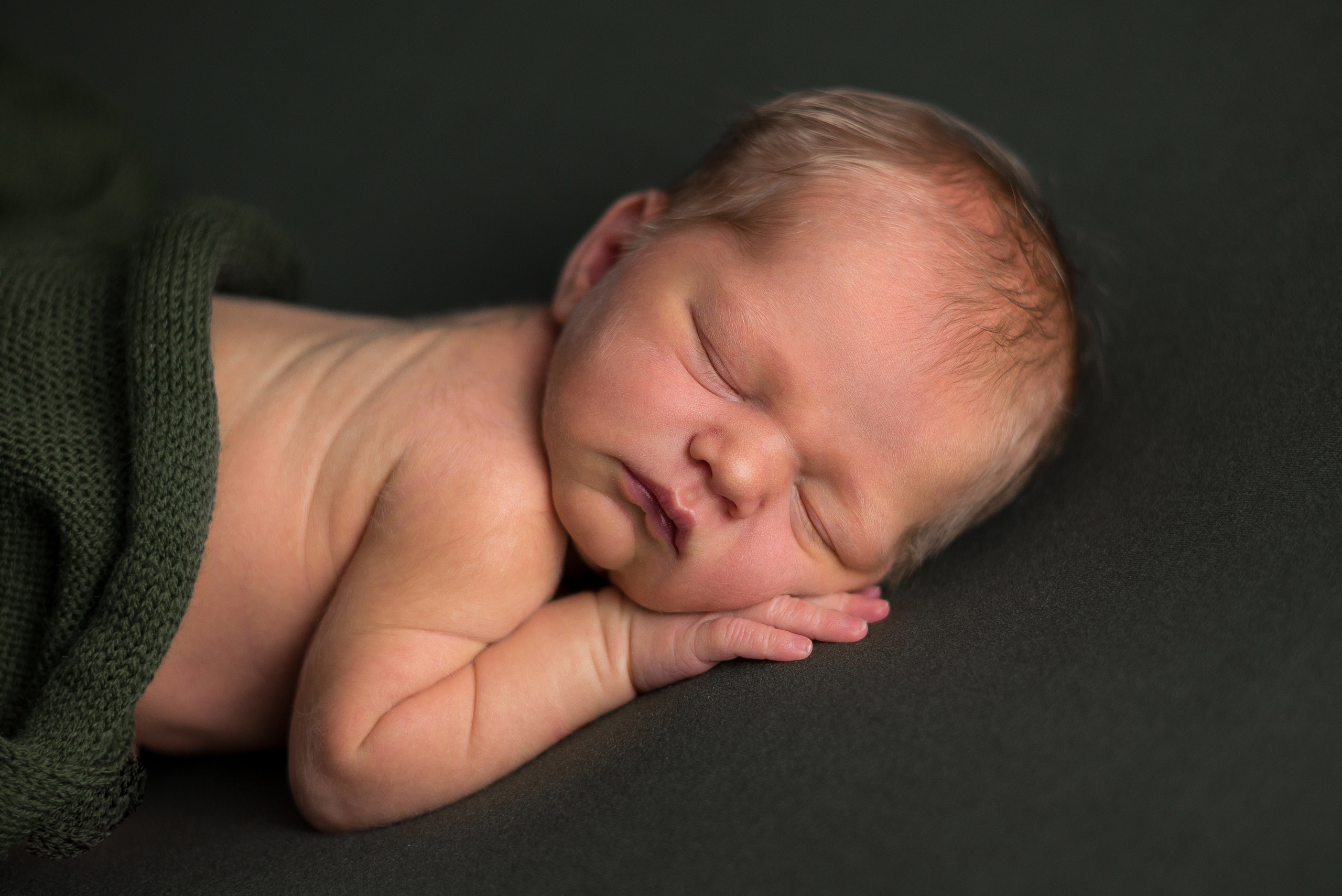 Лев. Фотограф в Санкт-Петербурге Пономарева Юлия