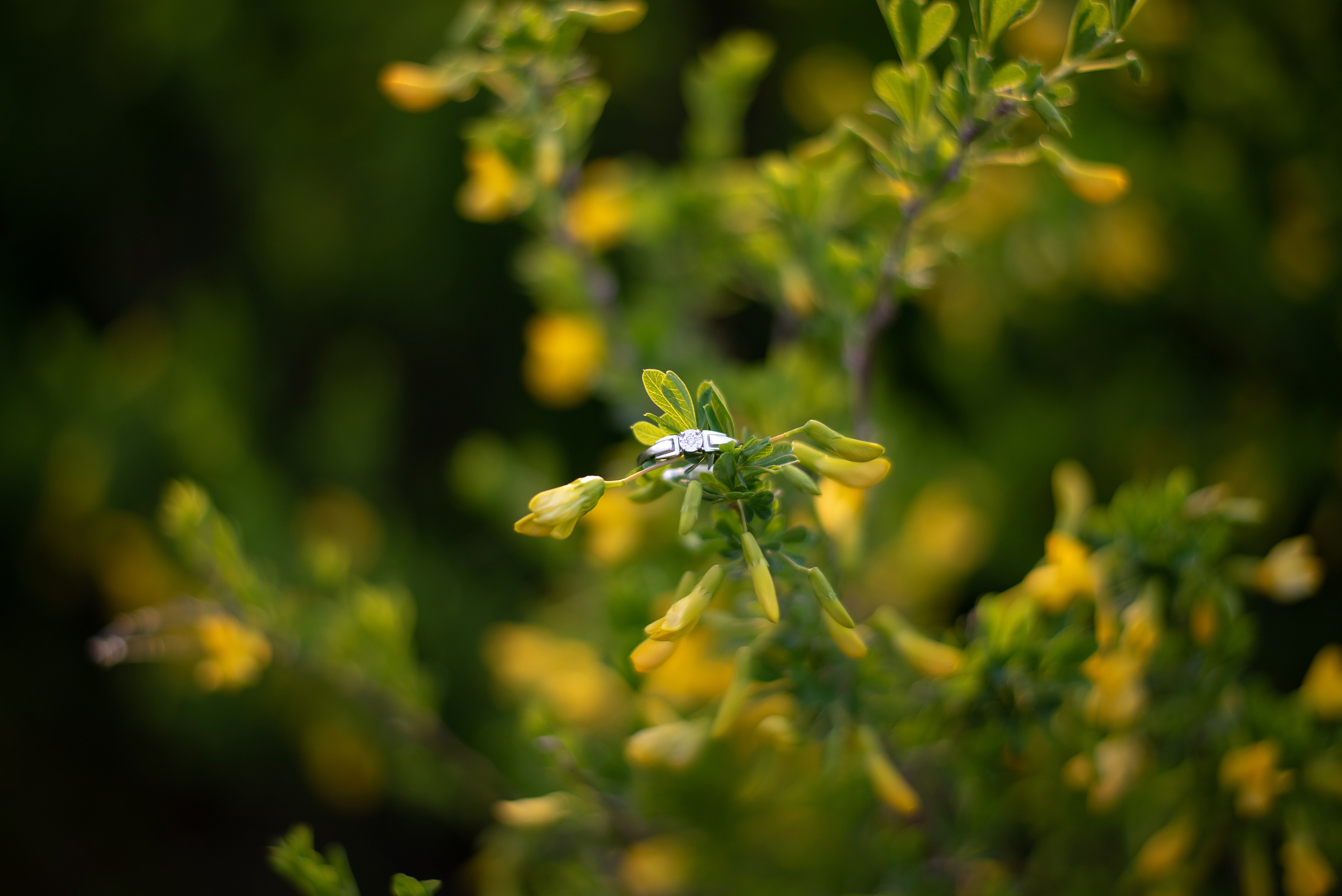 Саша и Наташа. Фотограф в Санкт-Петербурге Пономарева Юлия