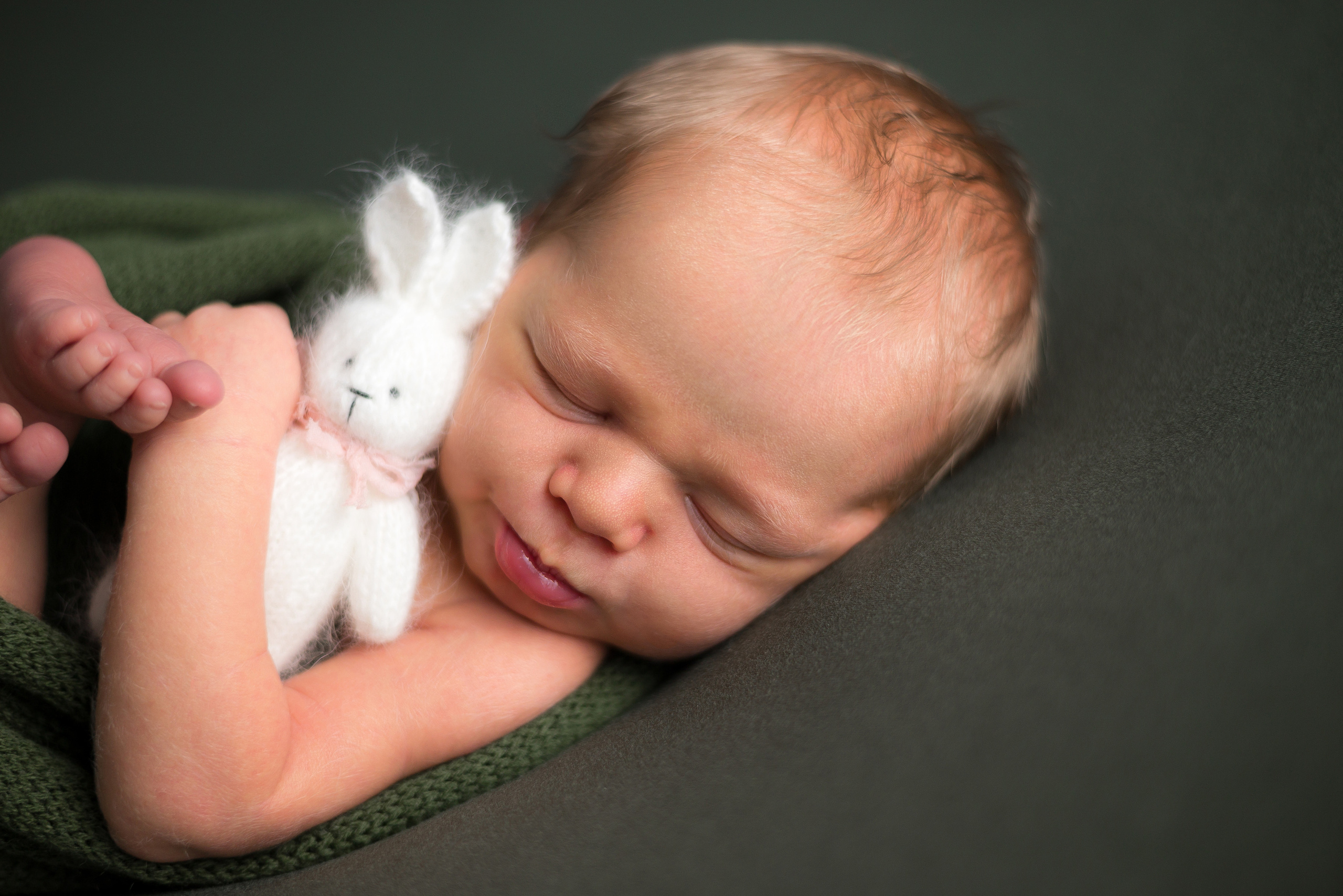 Лев. Фотограф в Санкт-Петербурге Пономарева Юлия