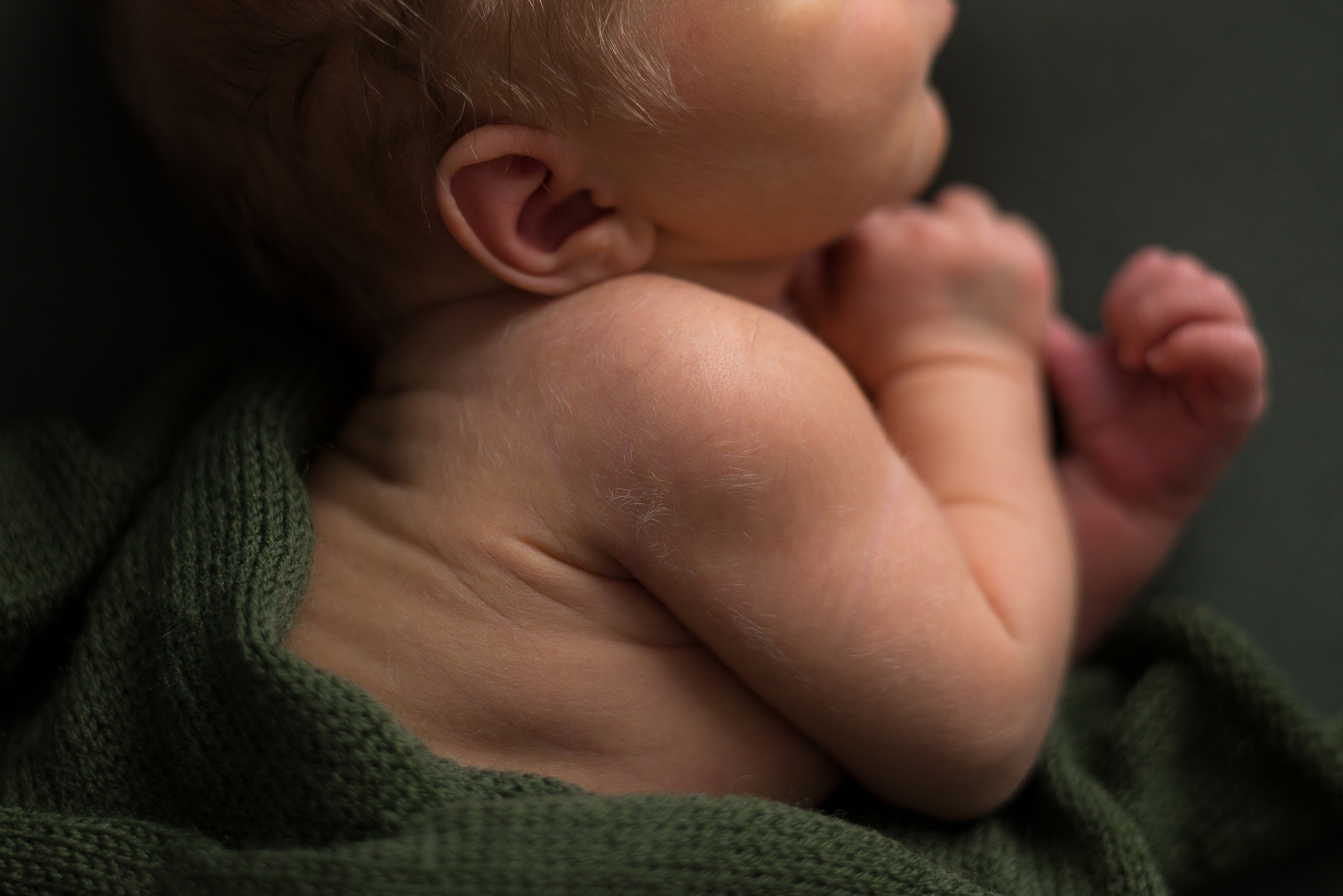 Лев. Фотограф в Санкт-Петербурге Пономарева Юлия