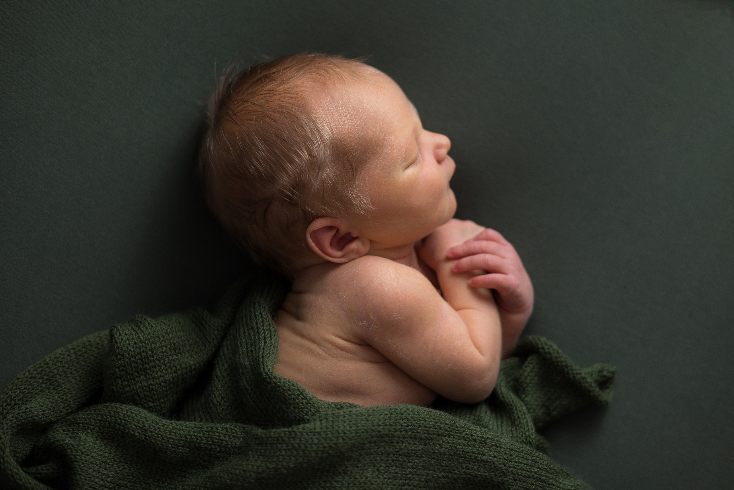 Лев. Фотограф в Санкт-Петербурге Пономарева Юлия