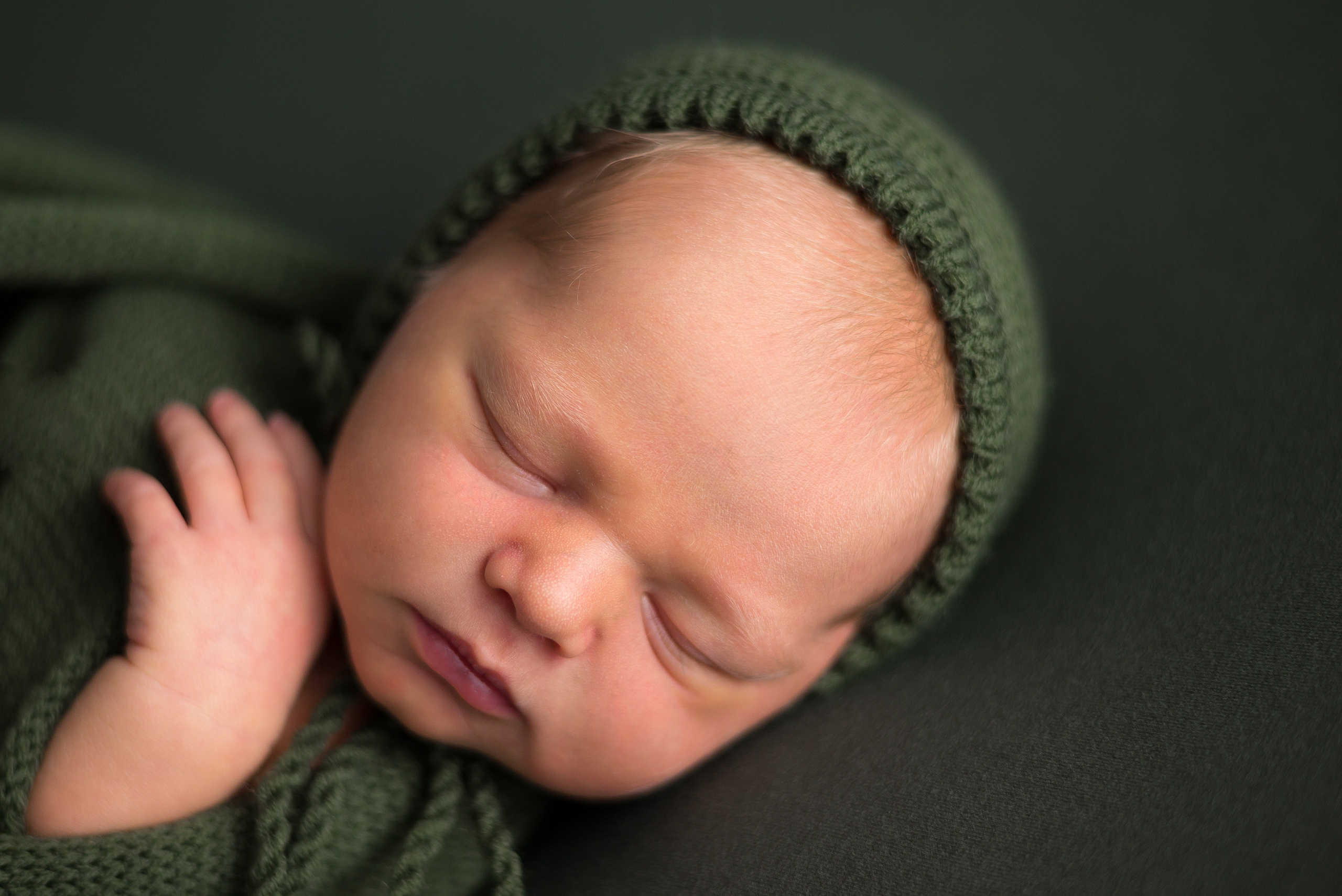 Лев. Фотограф в Санкт-Петербурге Пономарева Юлия