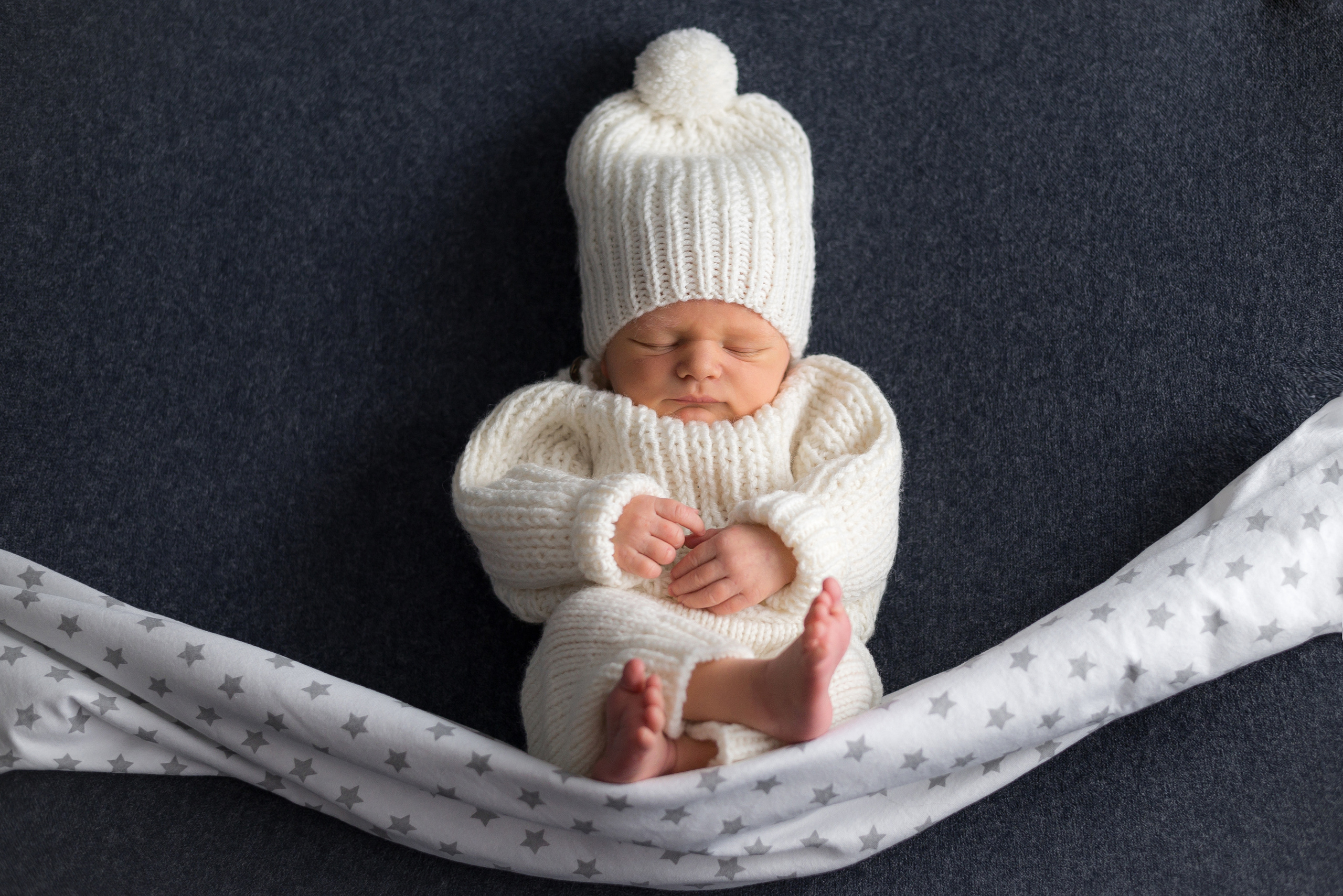 Лев. Фотограф в Санкт-Петербурге Пономарева Юлия