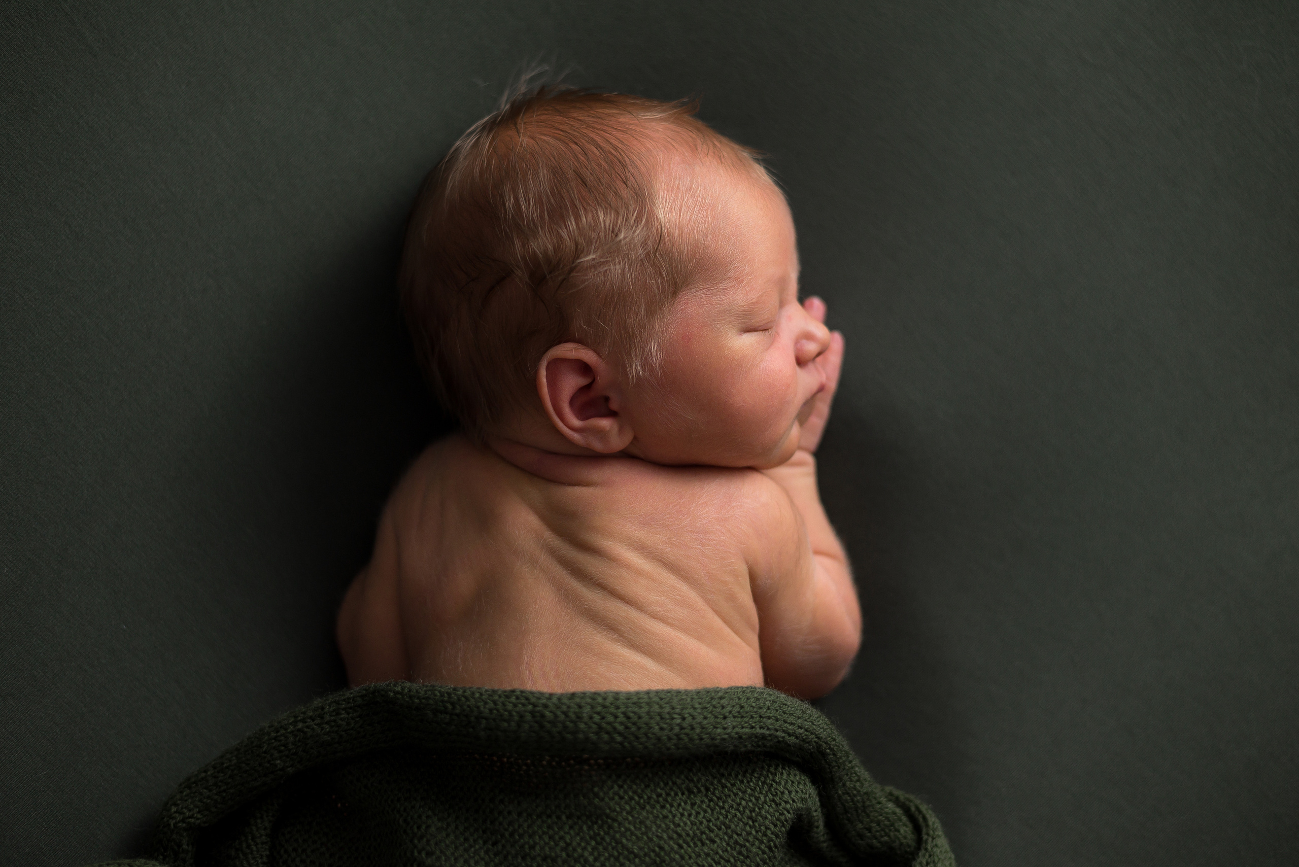 Лев. Фотограф в Санкт-Петербурге Пономарева Юлия