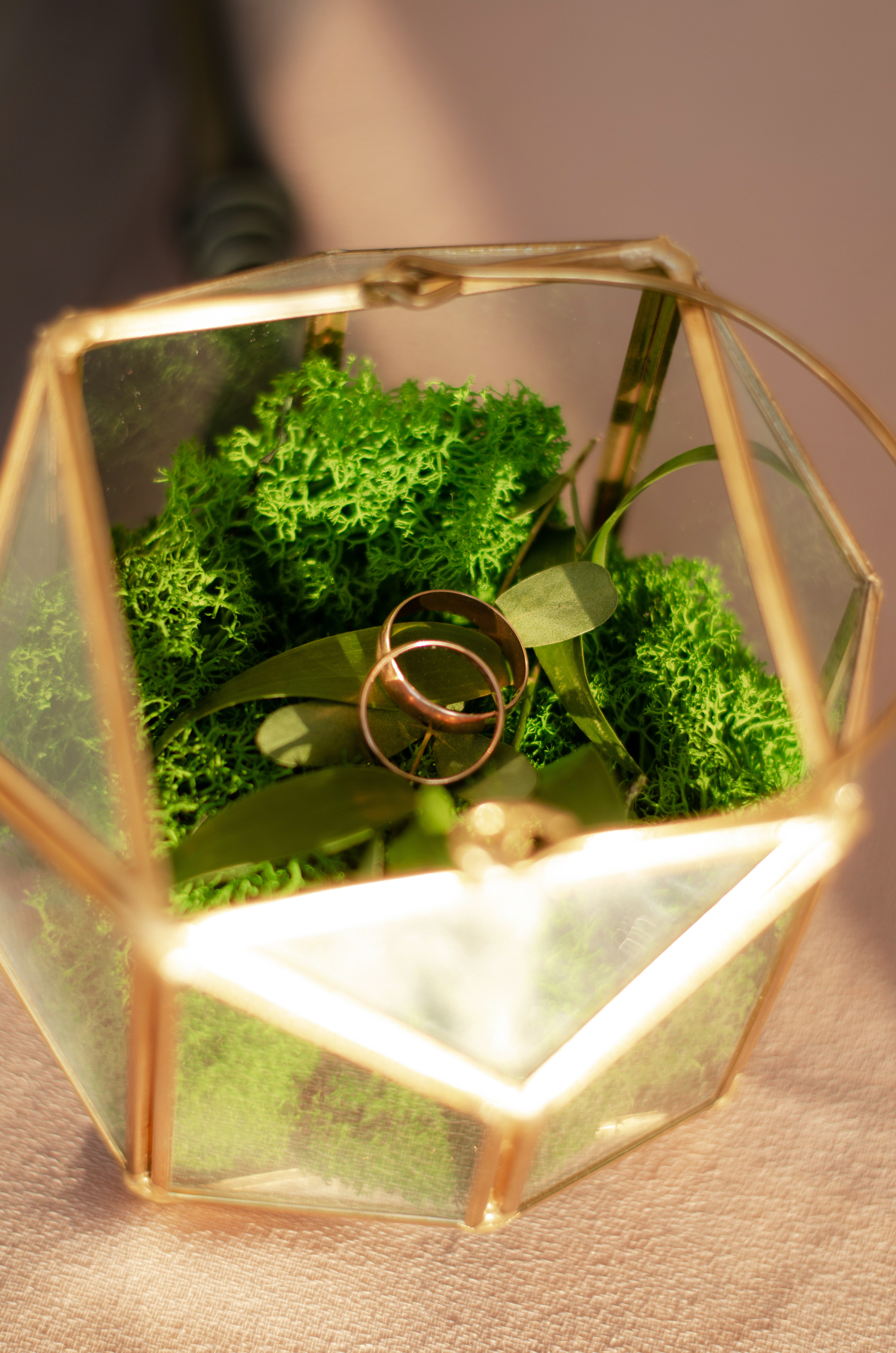 Даниил и Анна. Фотограф в Санкт-Петербурге Пономарева Юлия