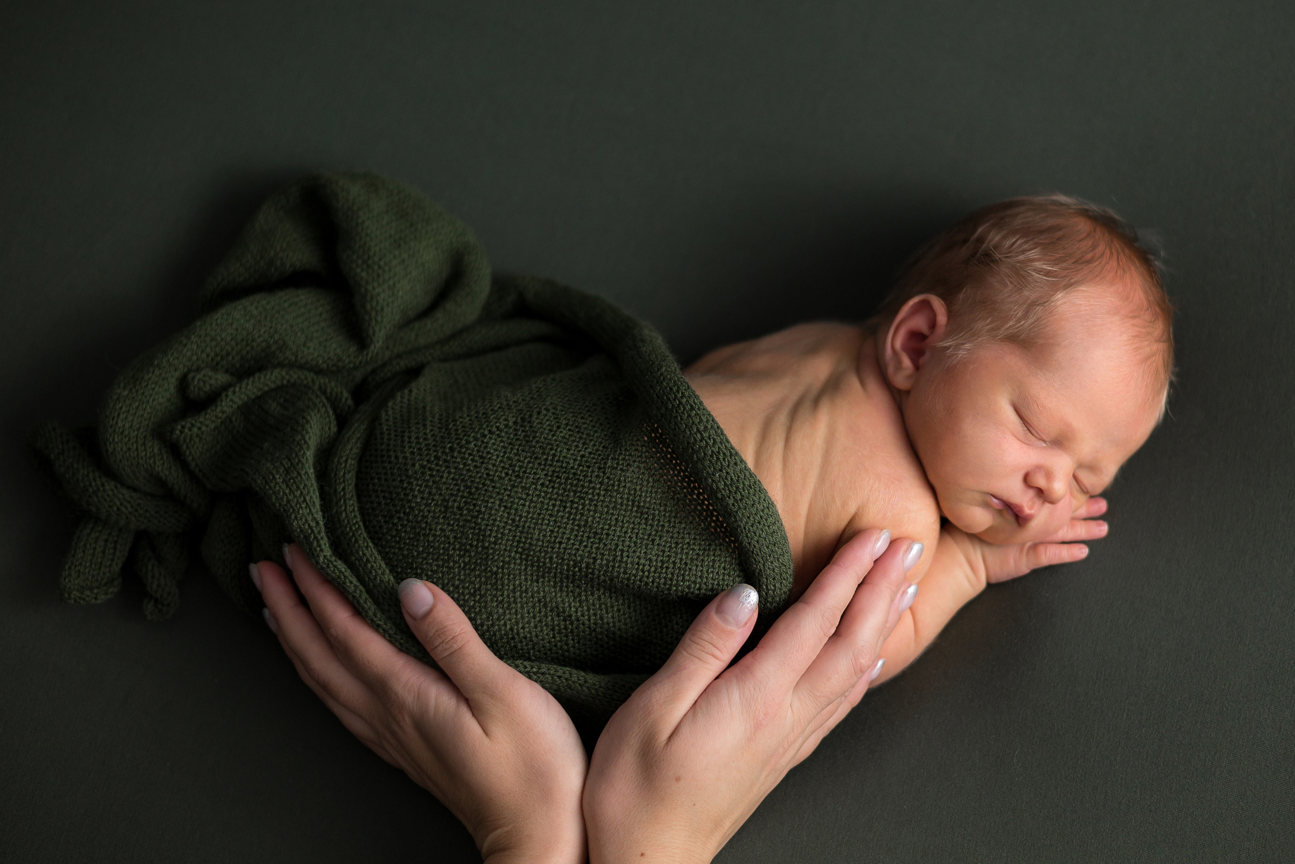 Лев. Фотограф в Санкт-Петербурге Пономарева Юлия