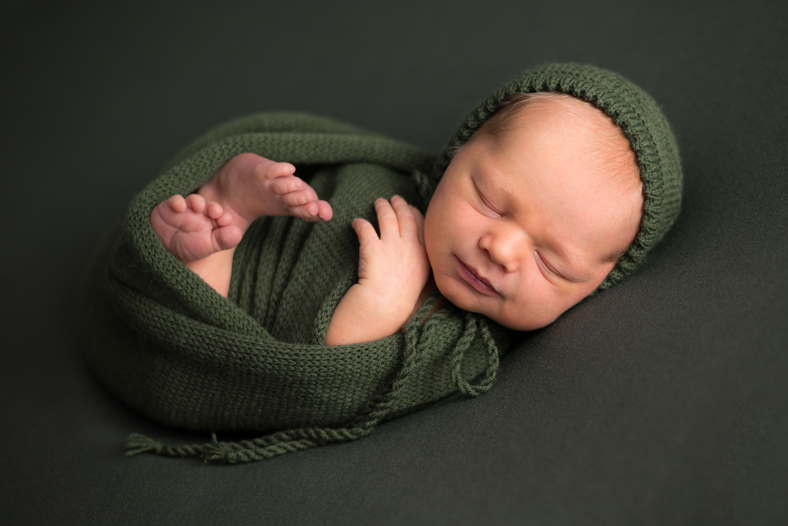 Лев. Фотограф в Санкт-Петербурге Пономарева Юлия