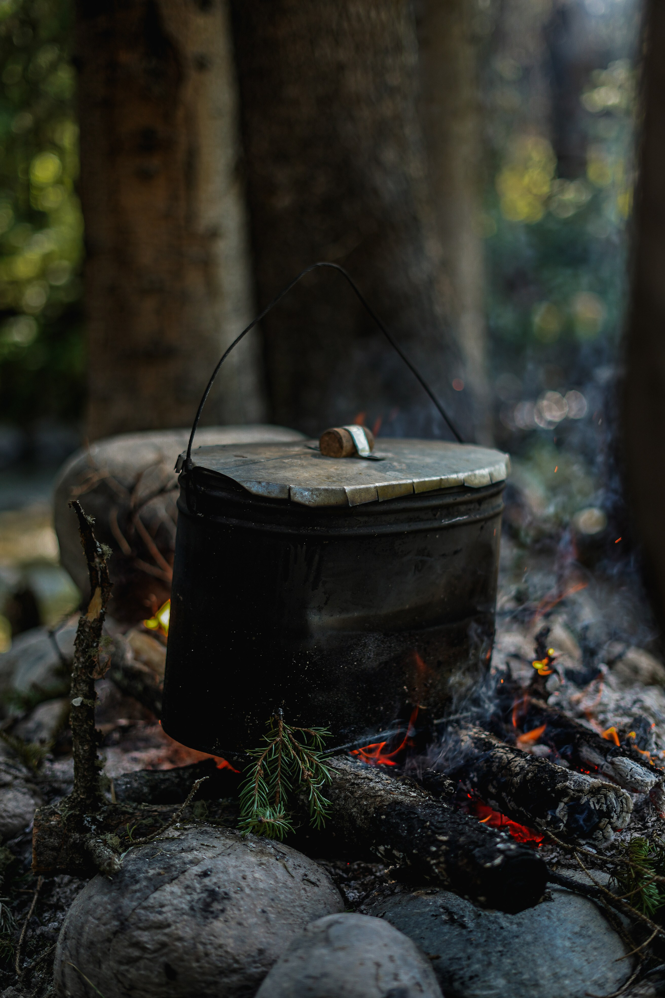 Алтай, поход к Белухе 2023. Фотограф Ольга Пучкова