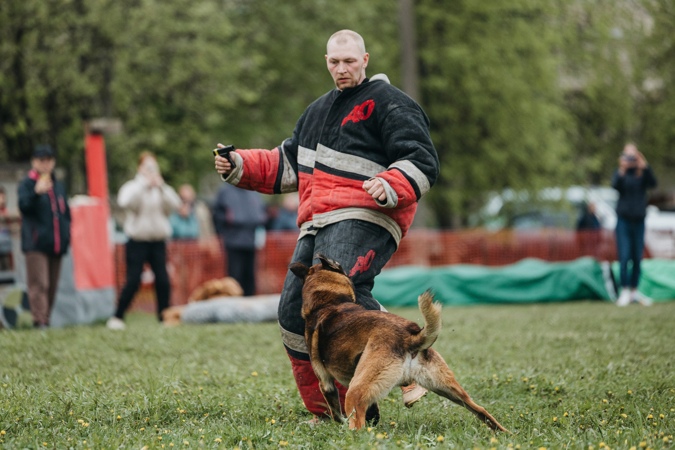 26.05.25 г. Пушкин квалификационные соревнования. Фотограф-анималист Анна Маринич