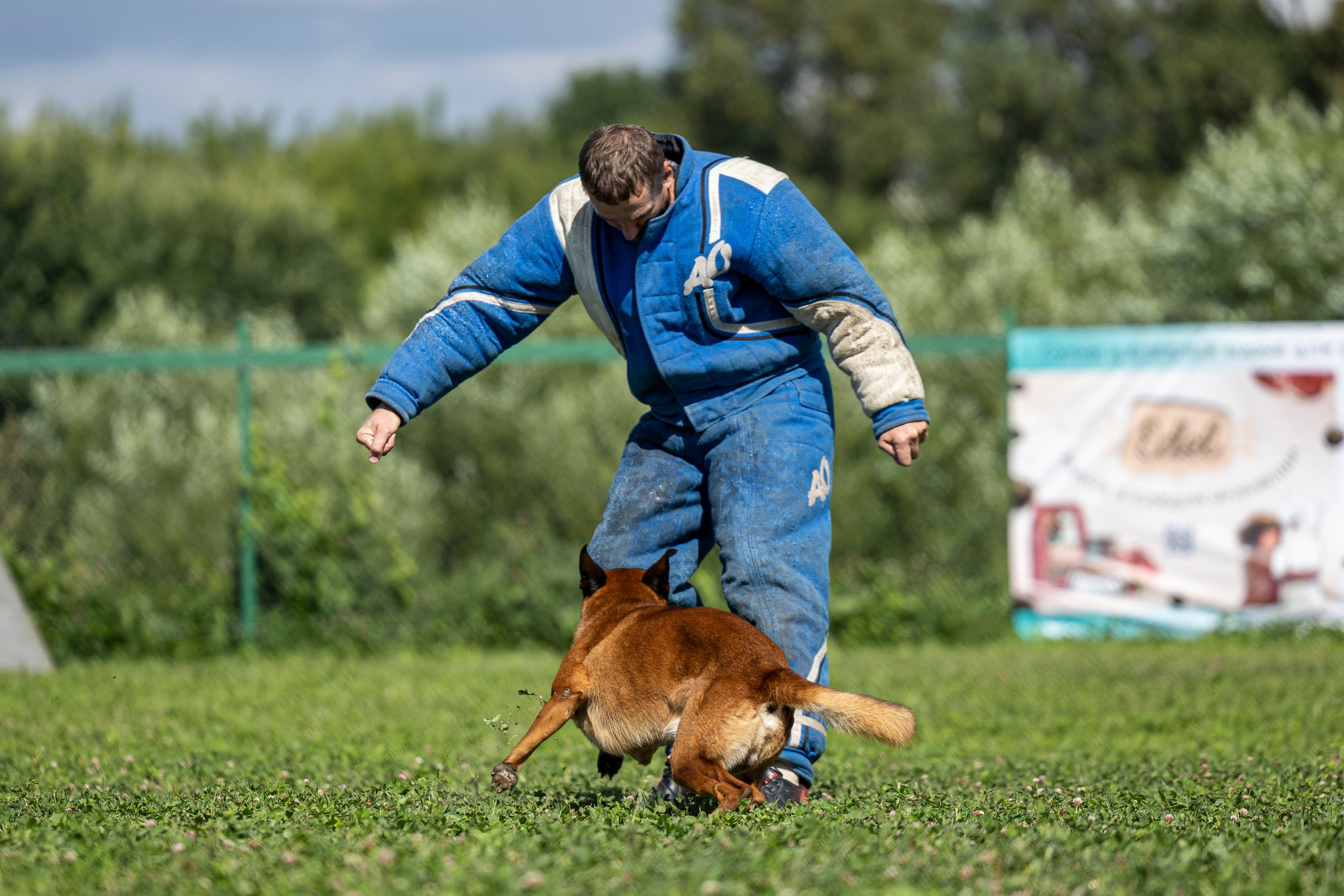Соревнования по Мондьорингу г. Вологда 10-11.08.2024. Фотограф-анималист Анна Маринич