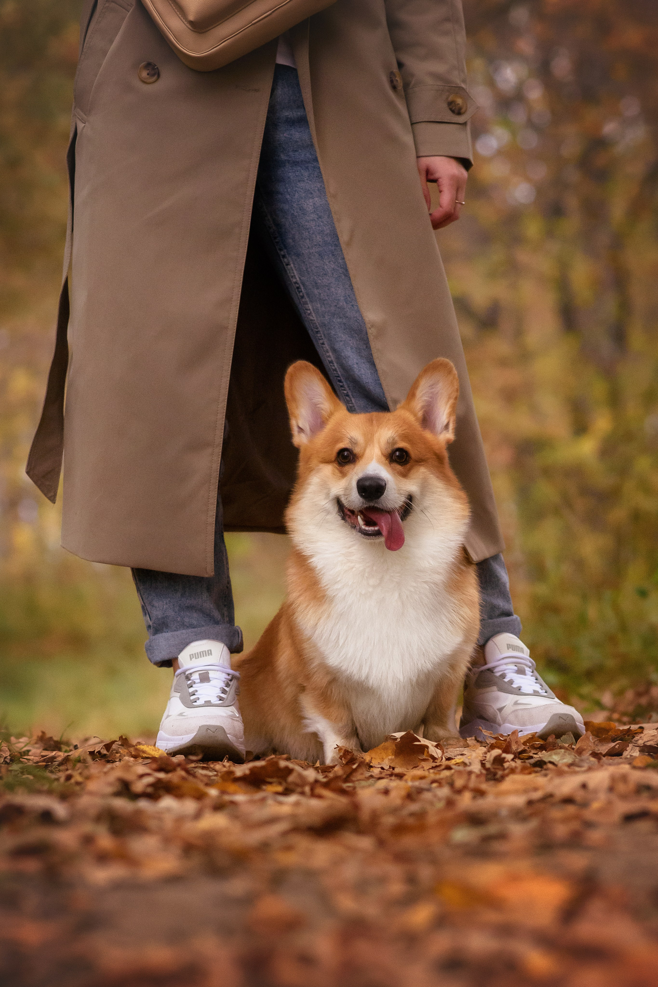 Женя и Феникс — 05.10.2024. Фотограф — Анималист | Анна Абрамова