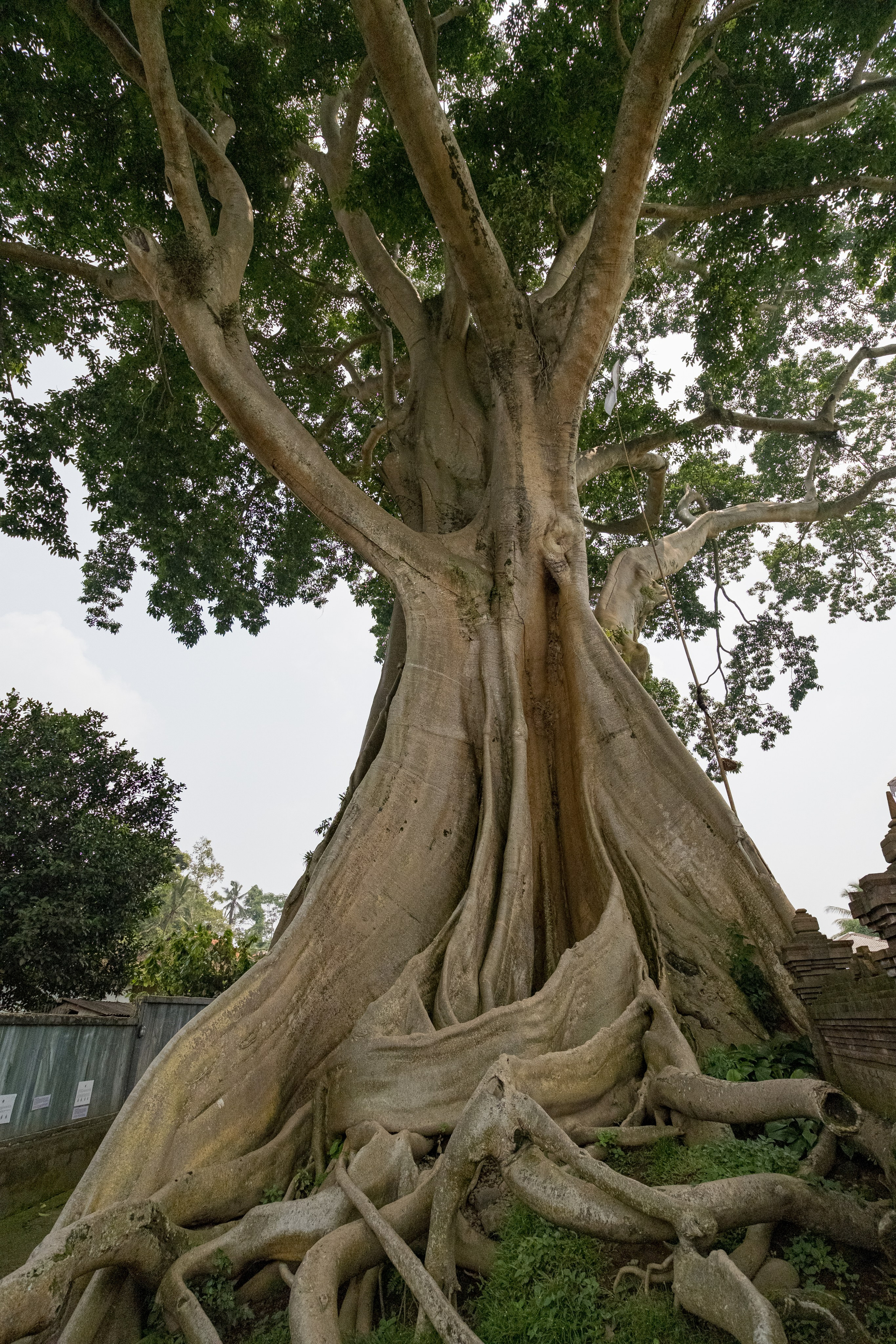Остров Бали. Фотографии из путешествий