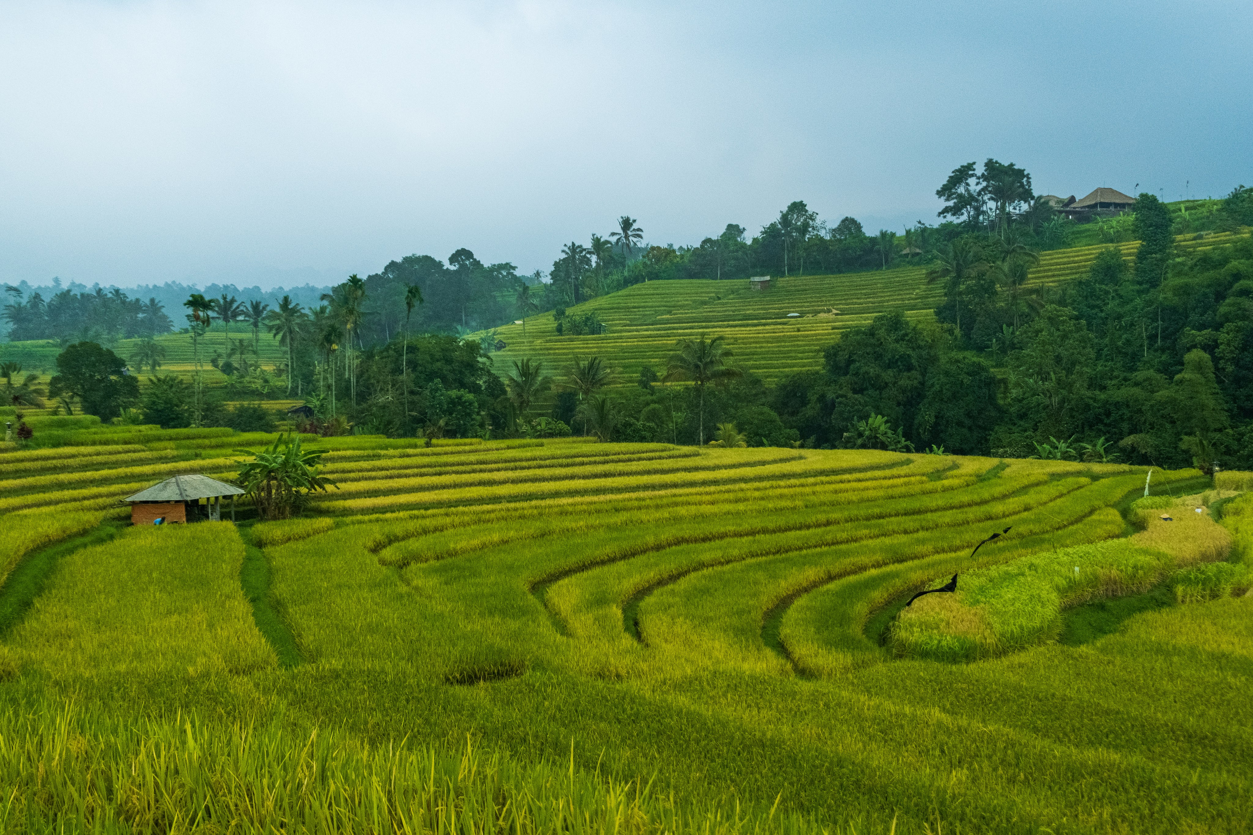 Остров Бали. Фотографии из путешествий