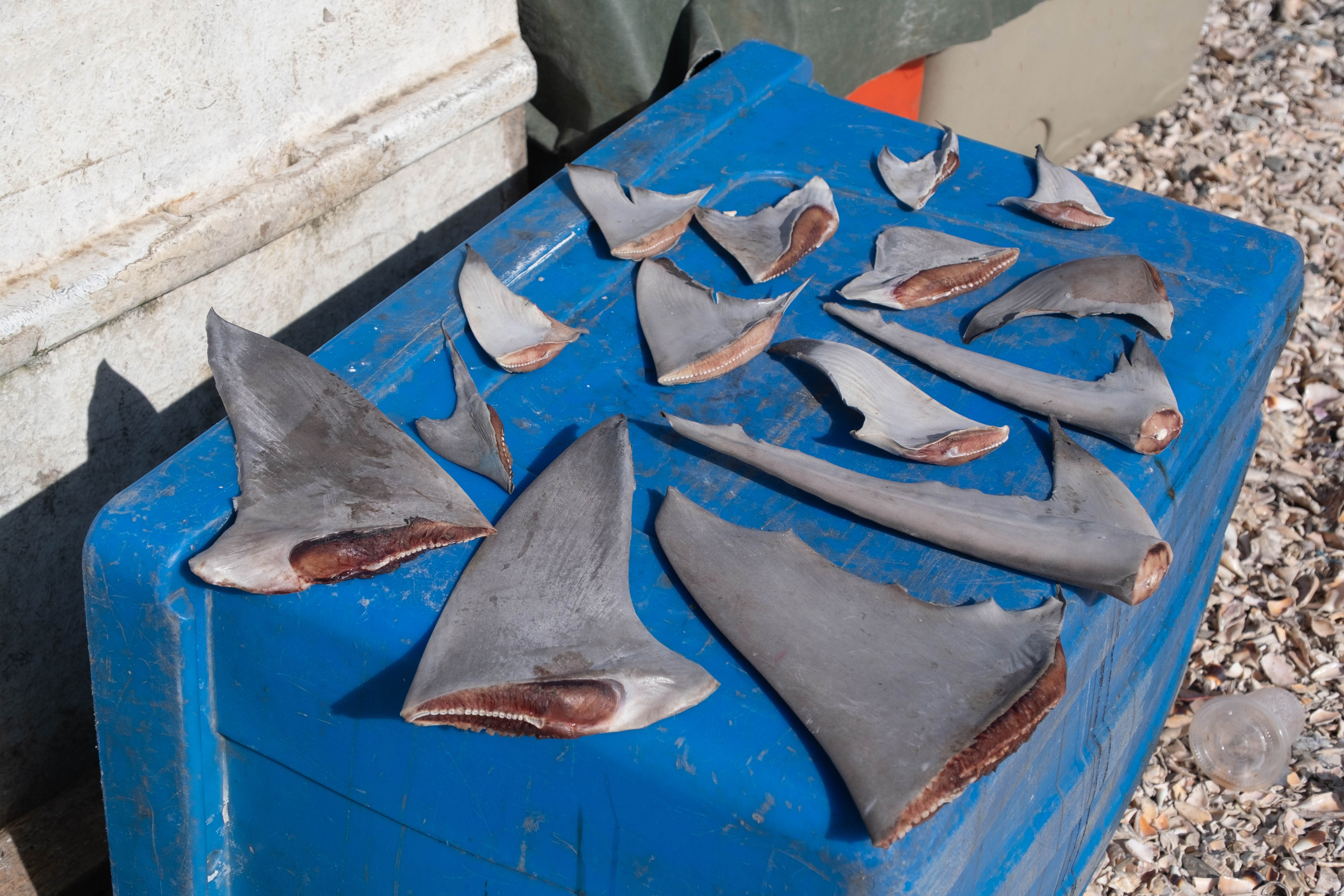 Остров Борнео, город Семпорна. Причал и рынок. Фотографии из путешествий