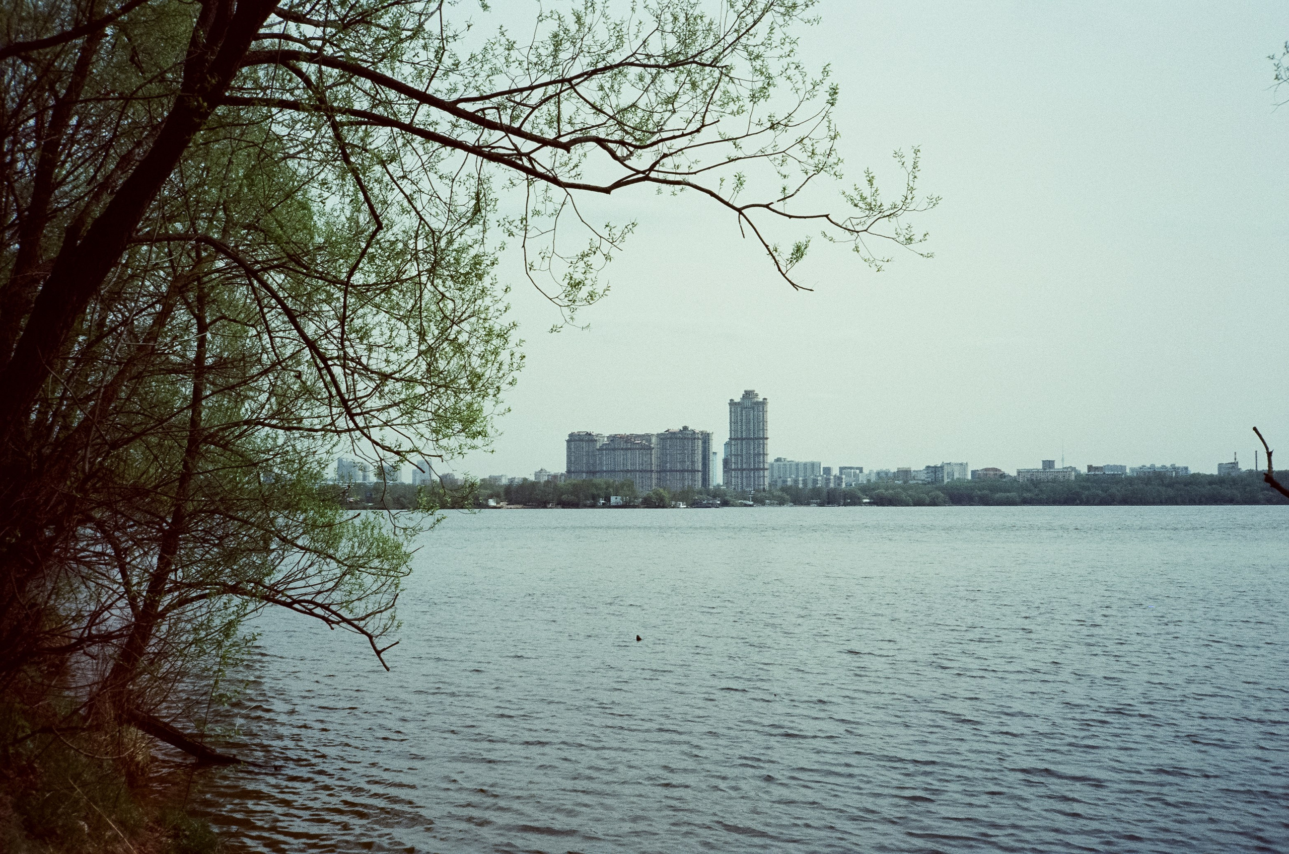 Ricoh 500GS / SFL 200T / Строгино тестовая пленка апрель 2024 г