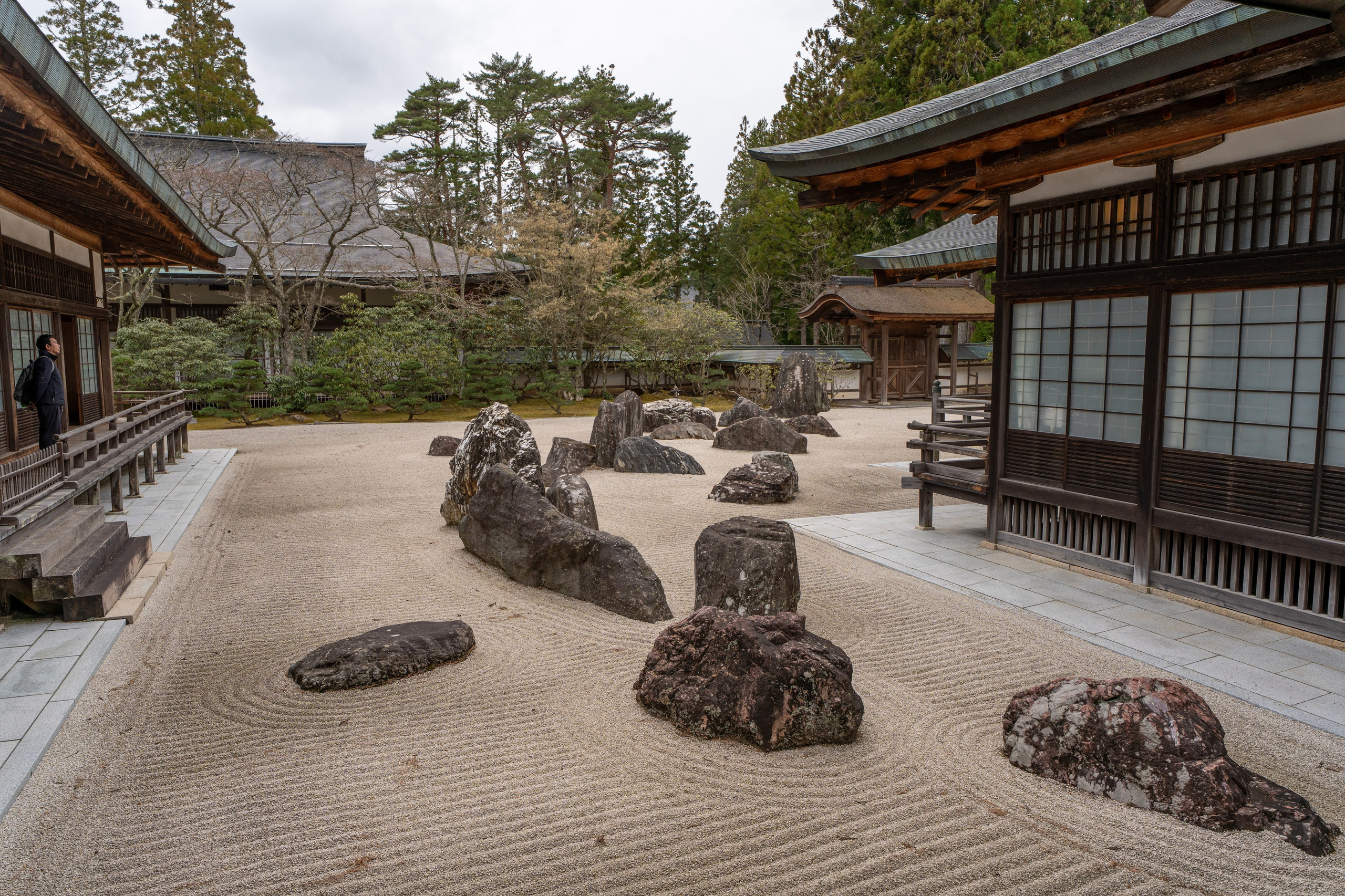 Япония, сакура. Творческие сьемки