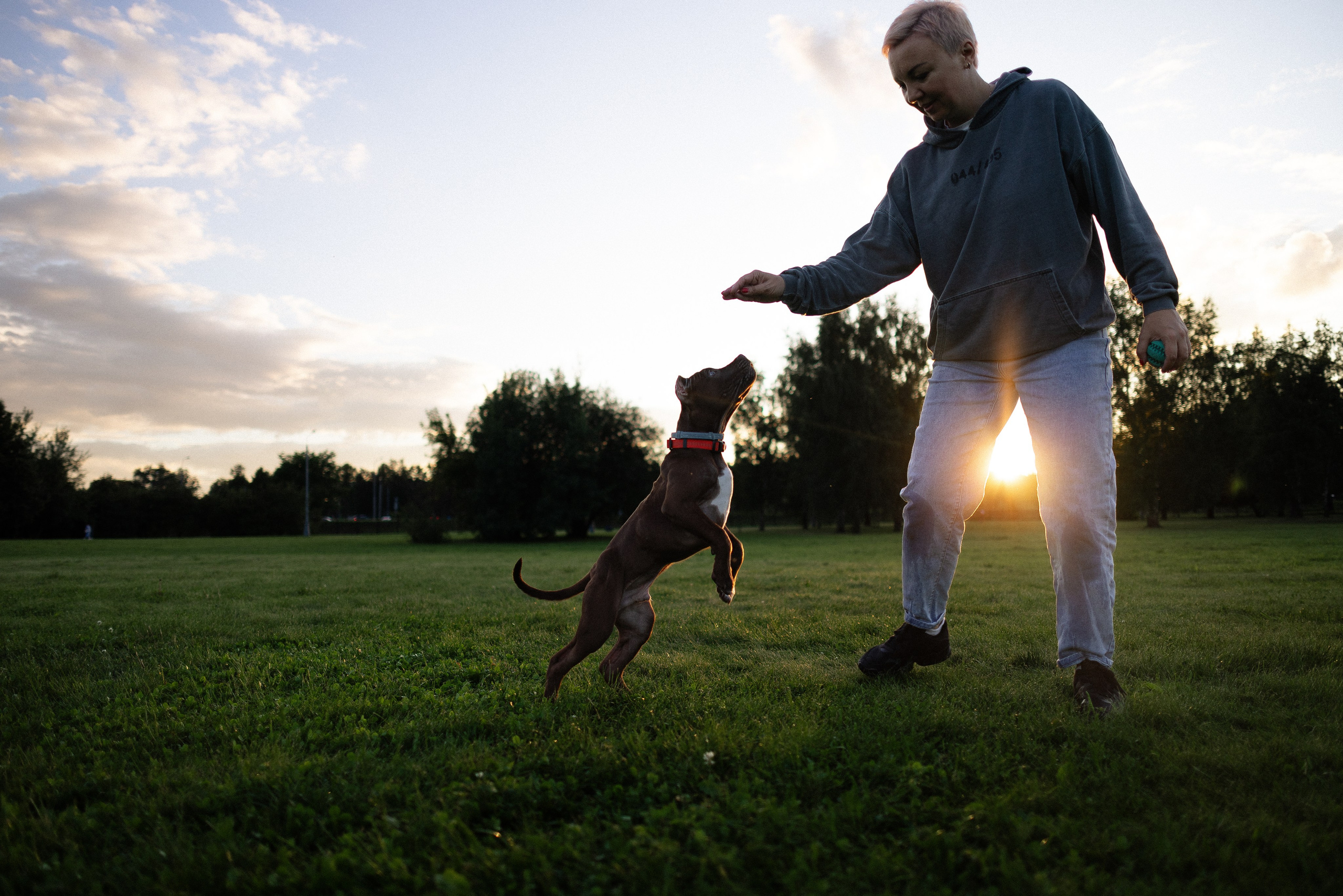 Елена и Хан. Фотограф и видеограф анималист Аганина Дарья