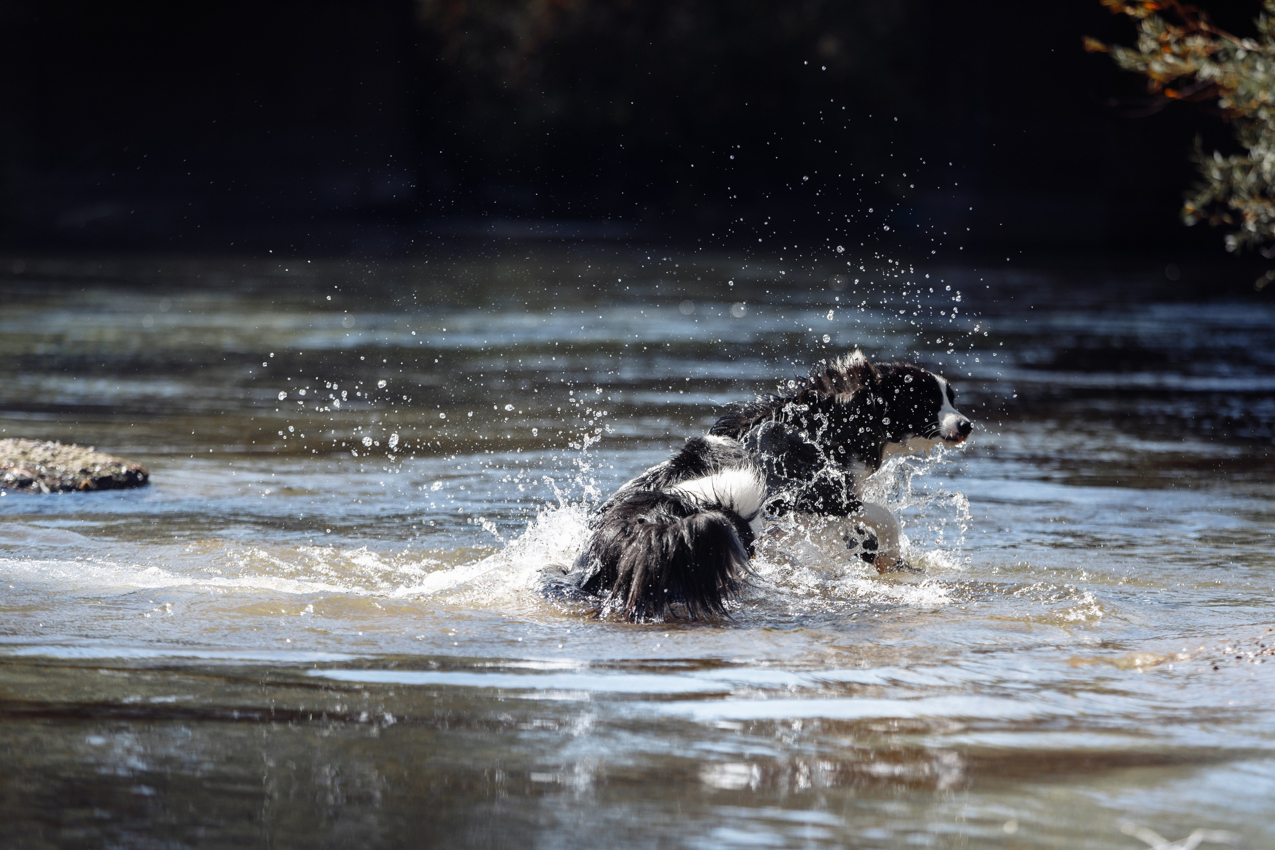 Водяные в Новотроицке. О нас