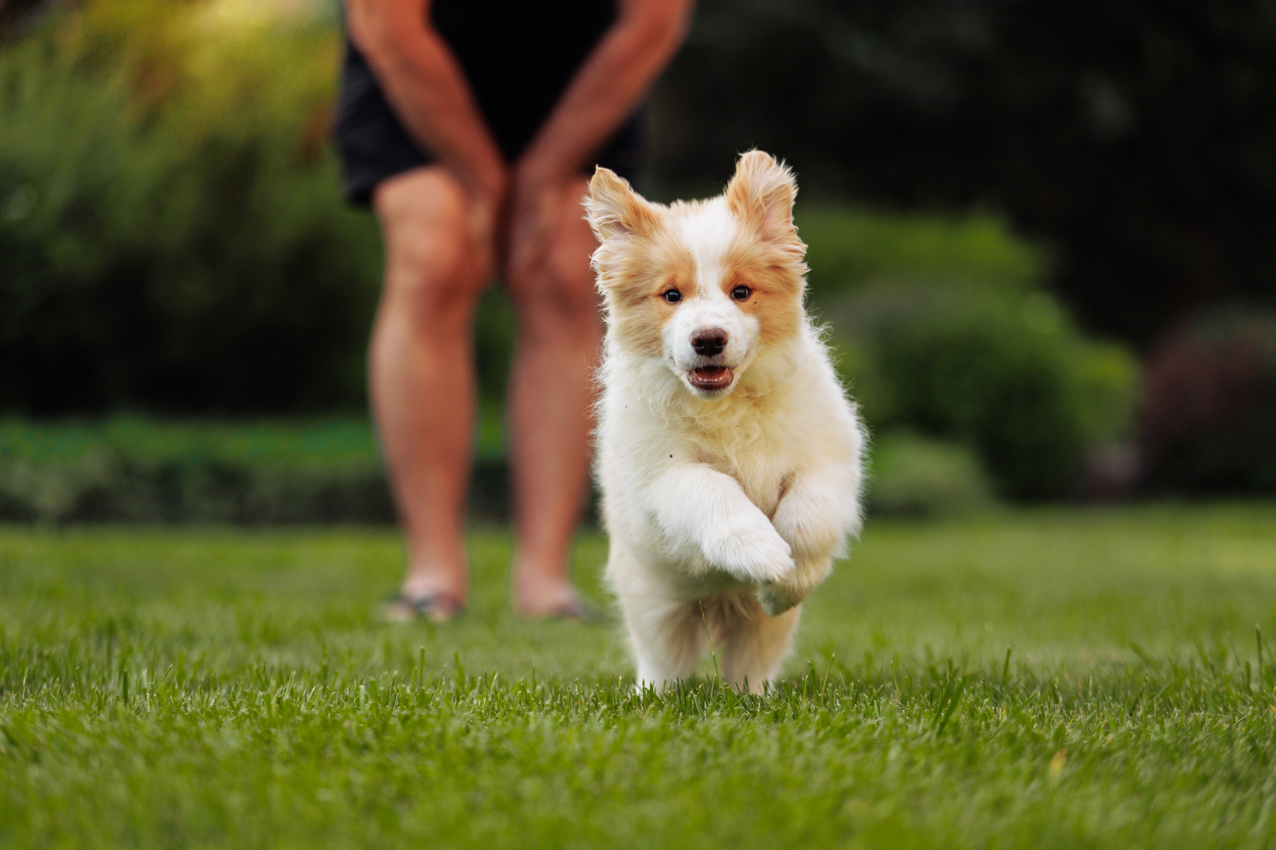 СОлнечные. О нас