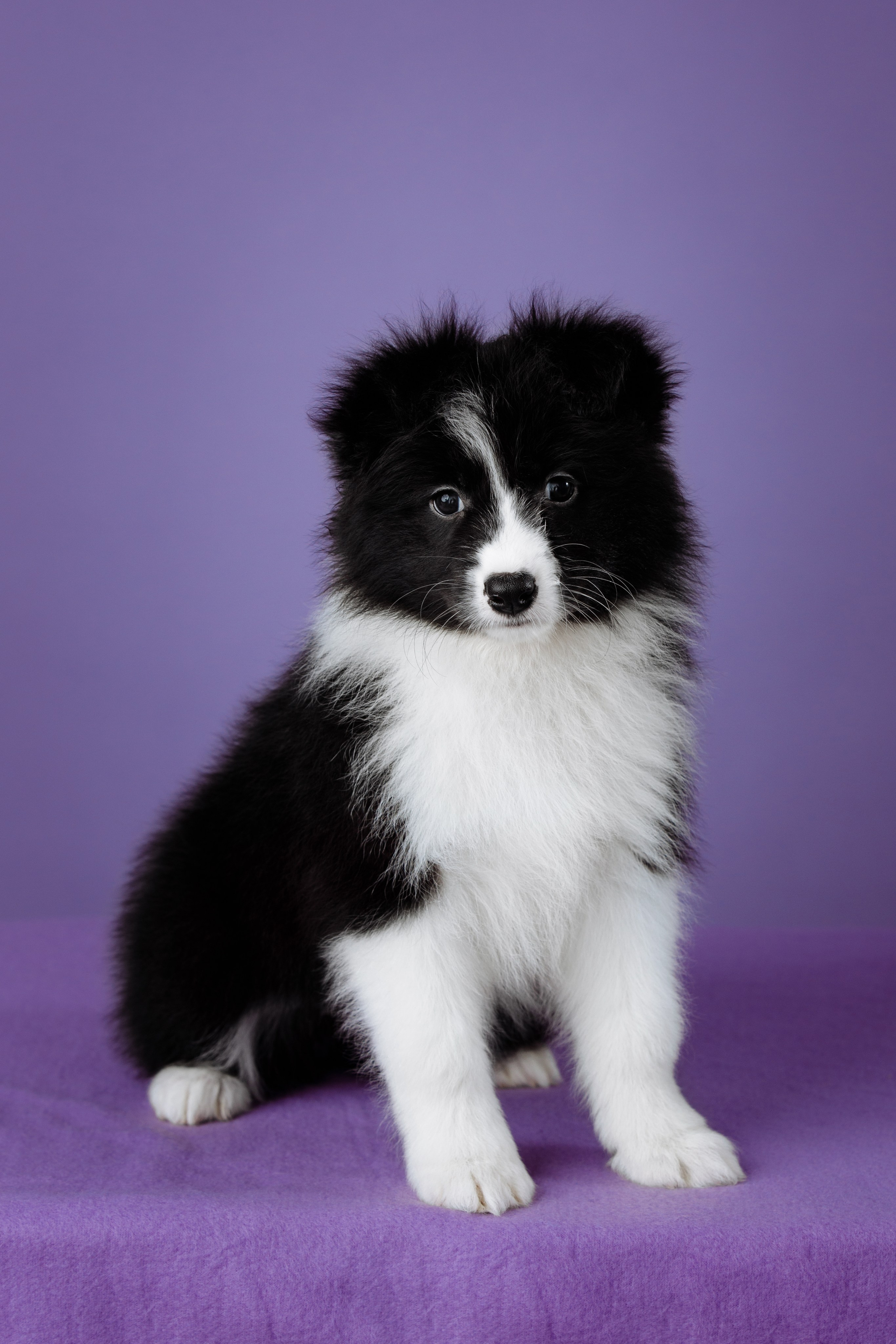 Март. Весна. 22. О нас