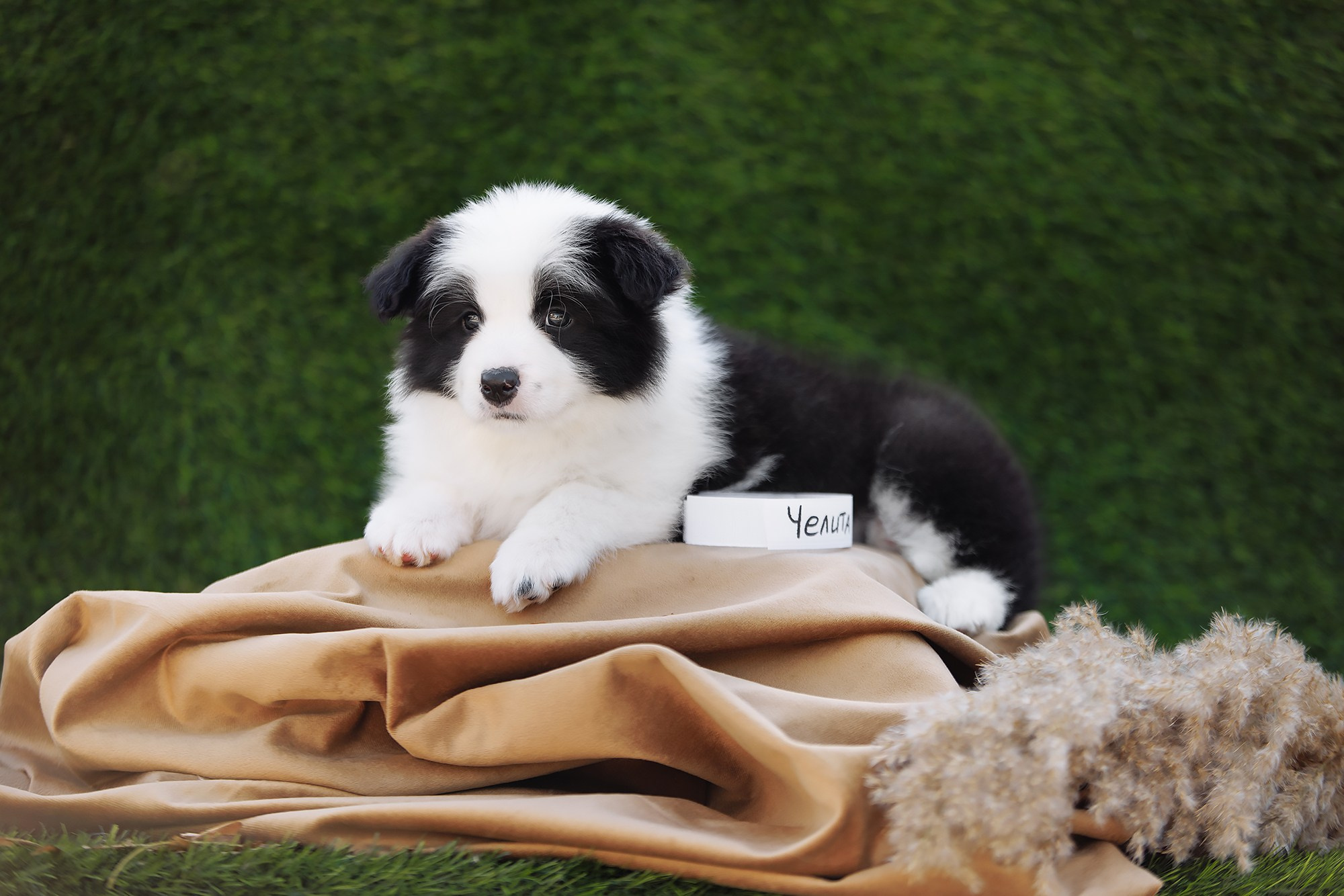 Новый лист. О нас