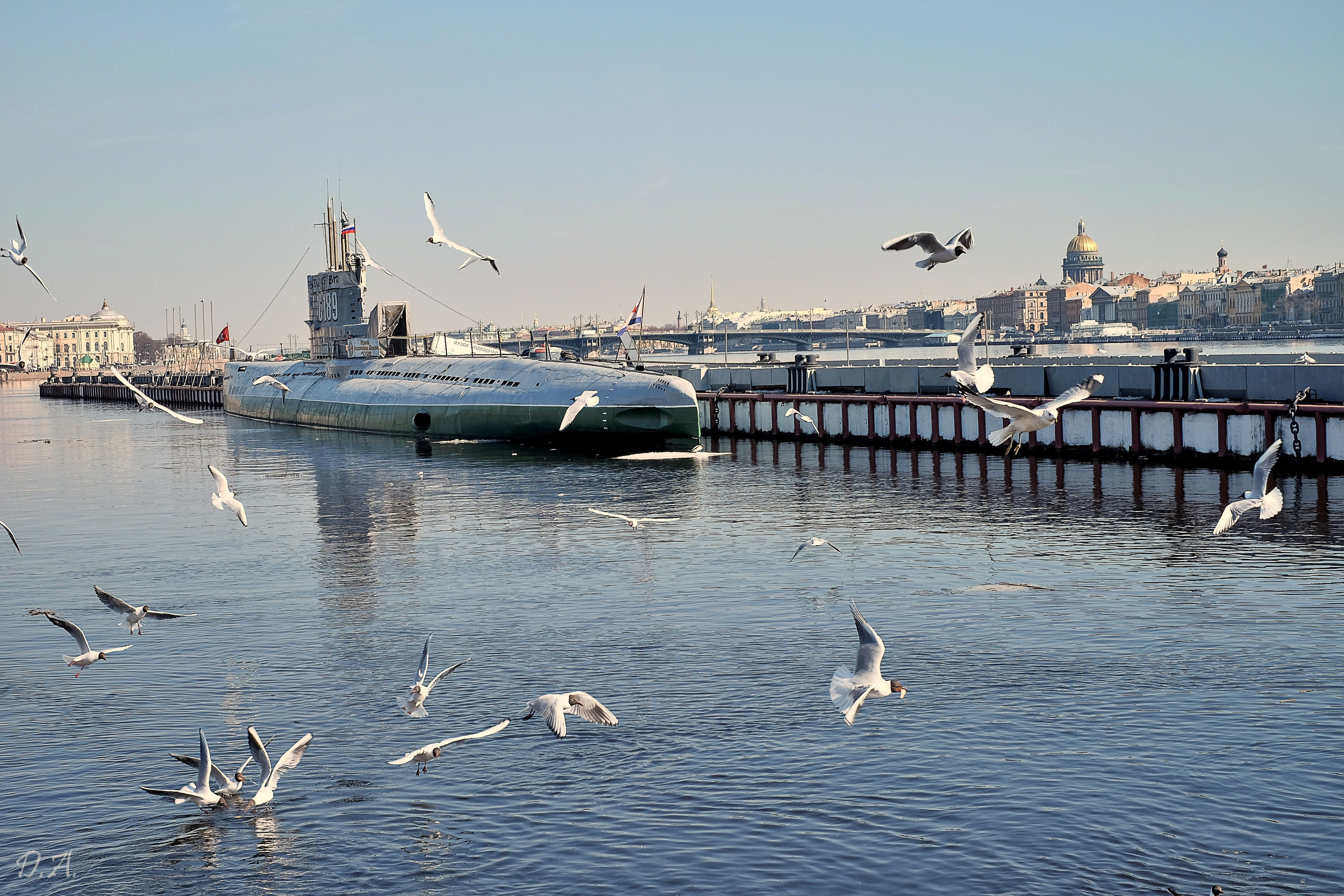 Питер. Фотограф Дмитрий Алексеев