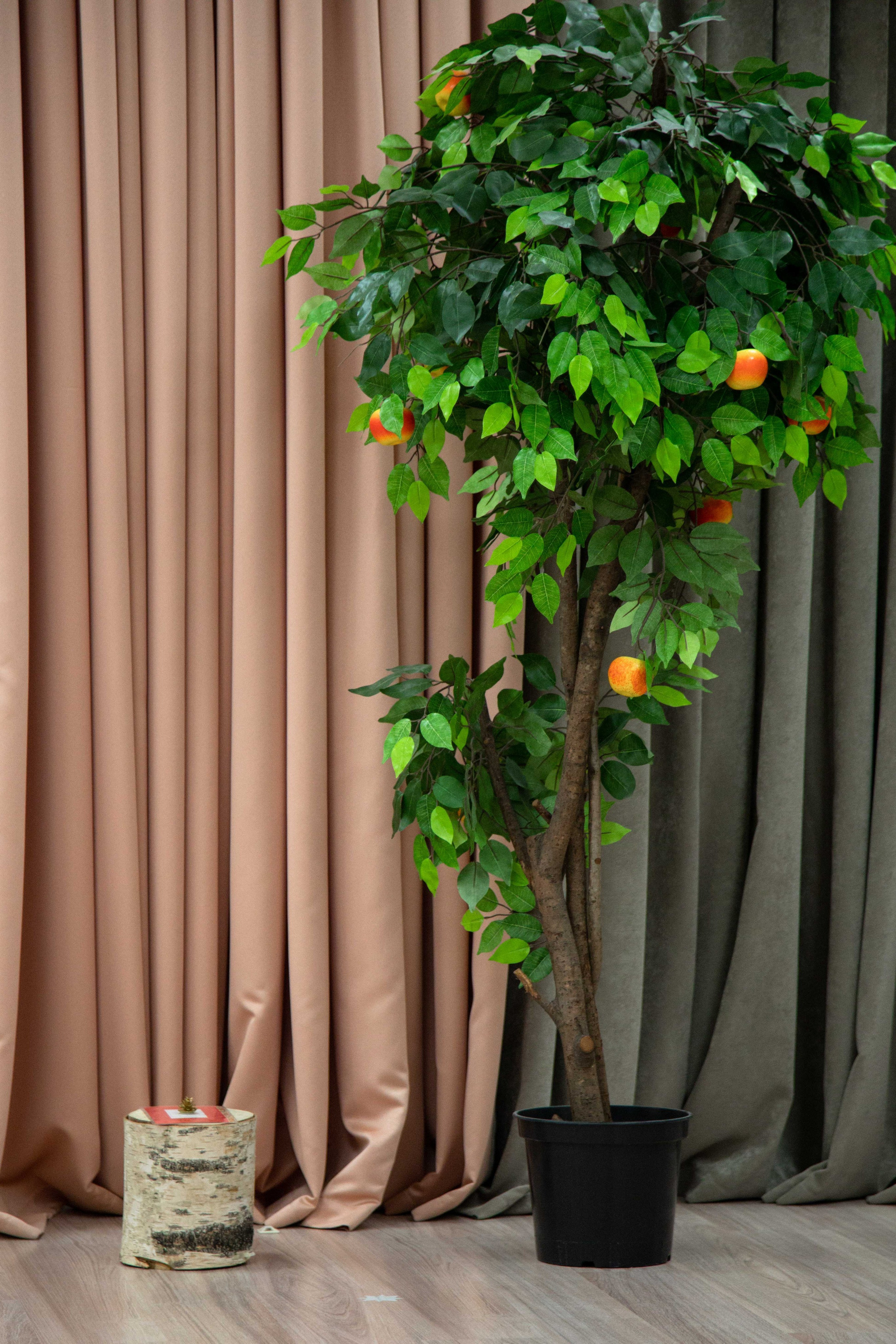 Отзывы о фотосессии в Санкт-Петербурге. Свадебный и семейный фотограф в Санкт-Петербурге Максим Шарков