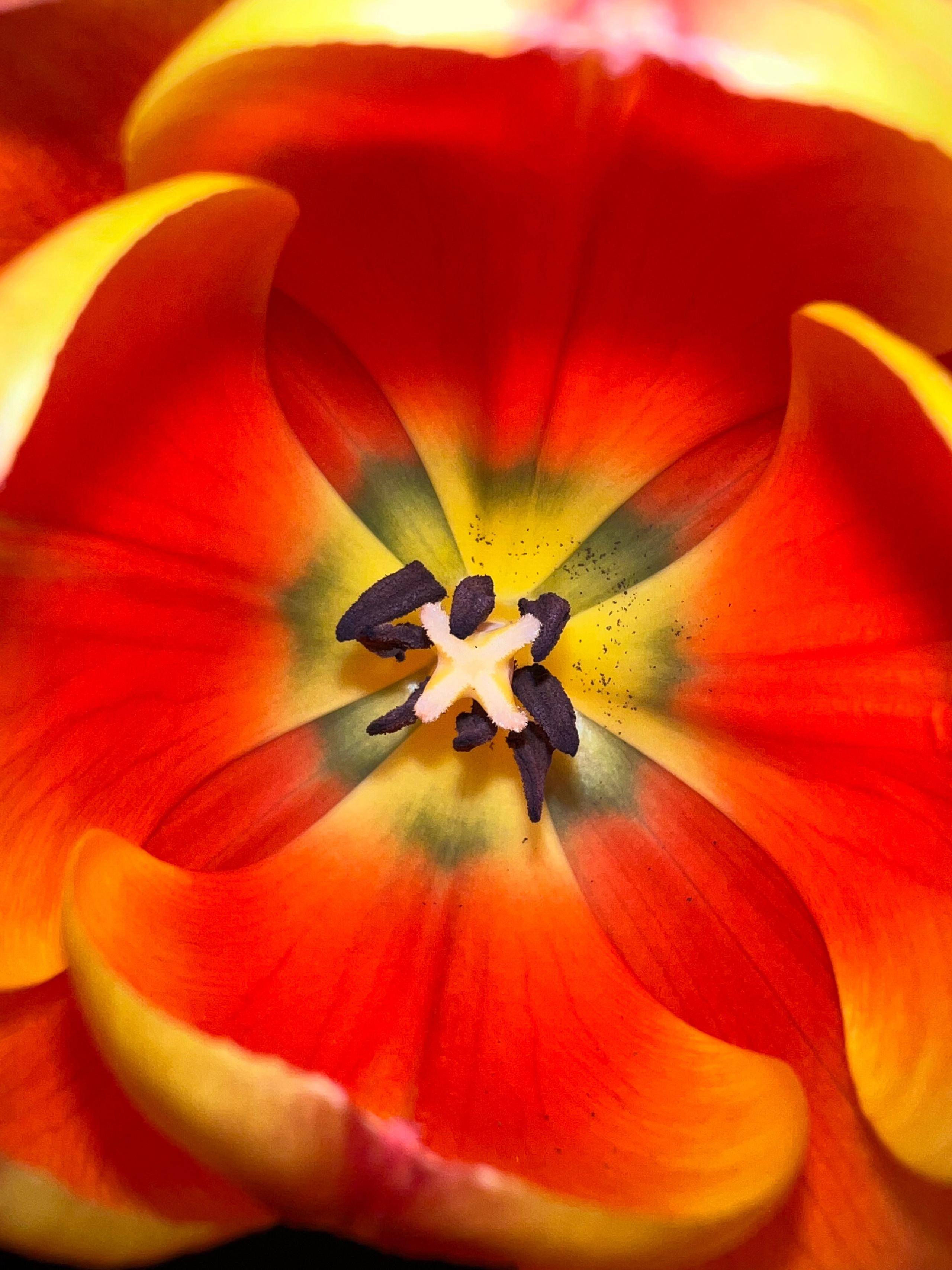 Fragments. Artem Khusainov