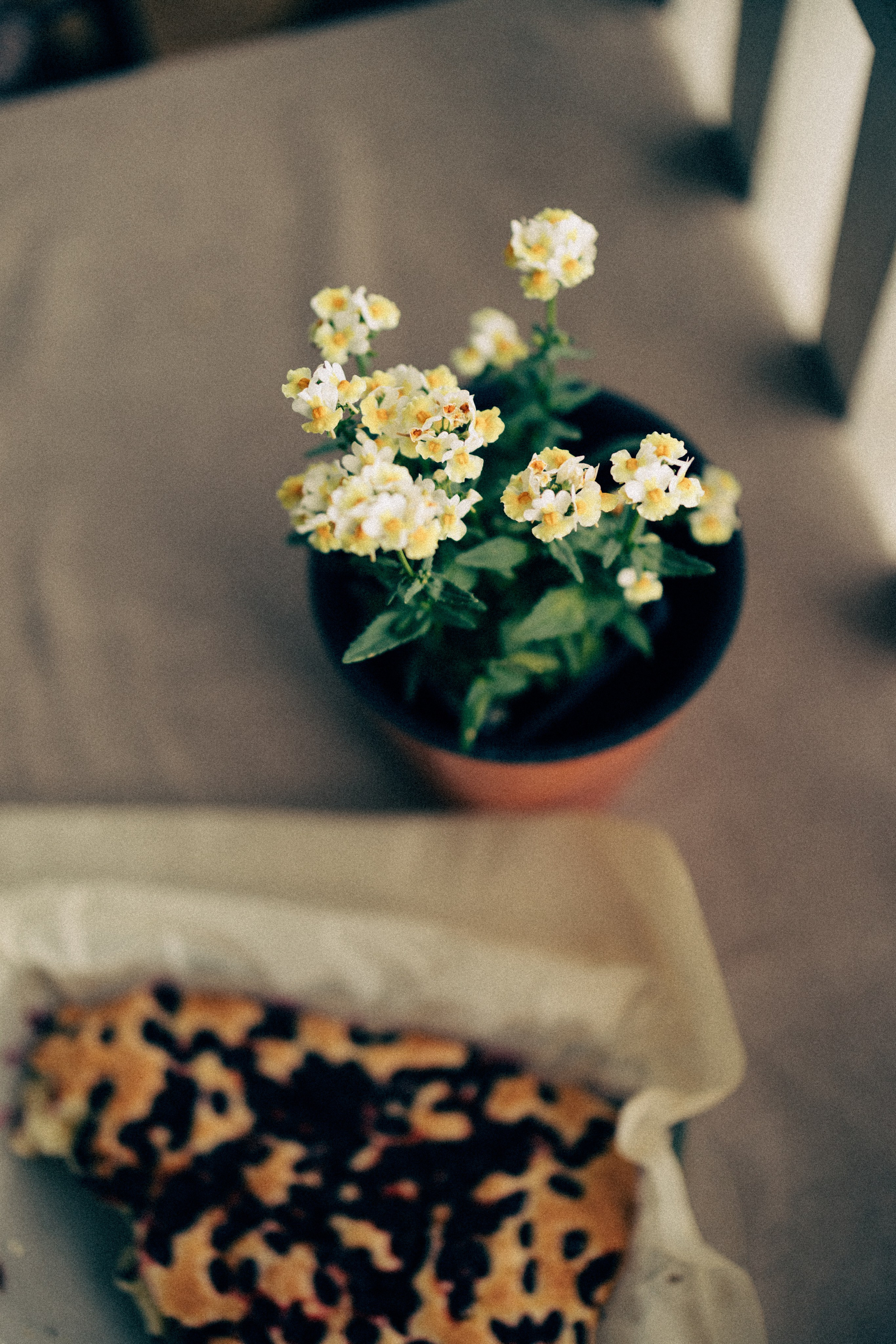 Обжитое. Daria Chigintseva Photographer