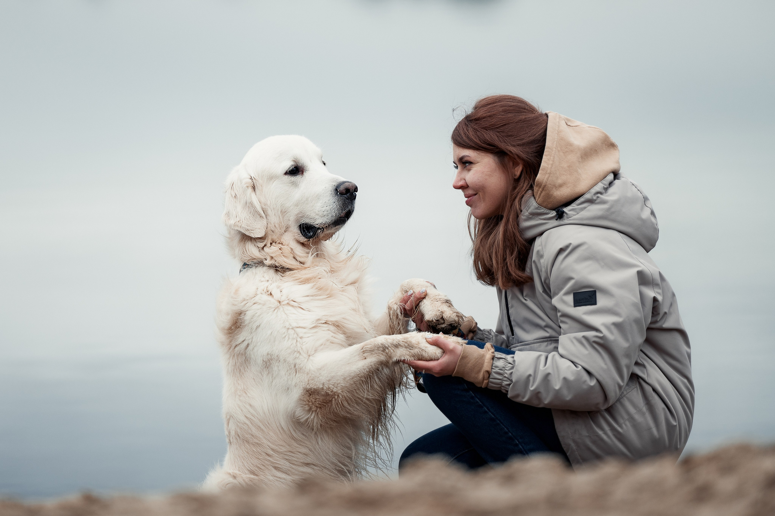 Айс и золотая осень. Фотограф-анималист