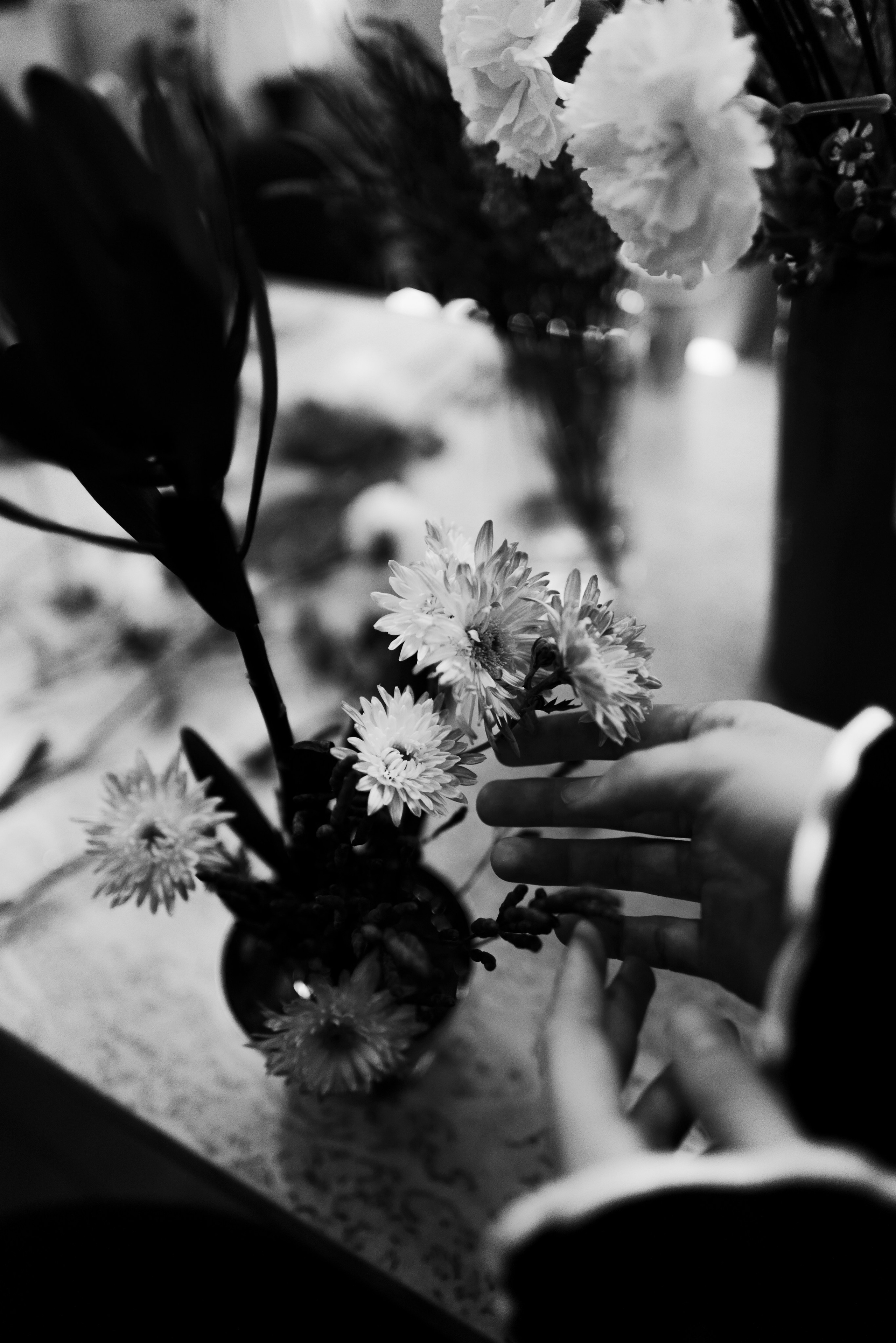 Lu Girls Only. Maxon Magnusson