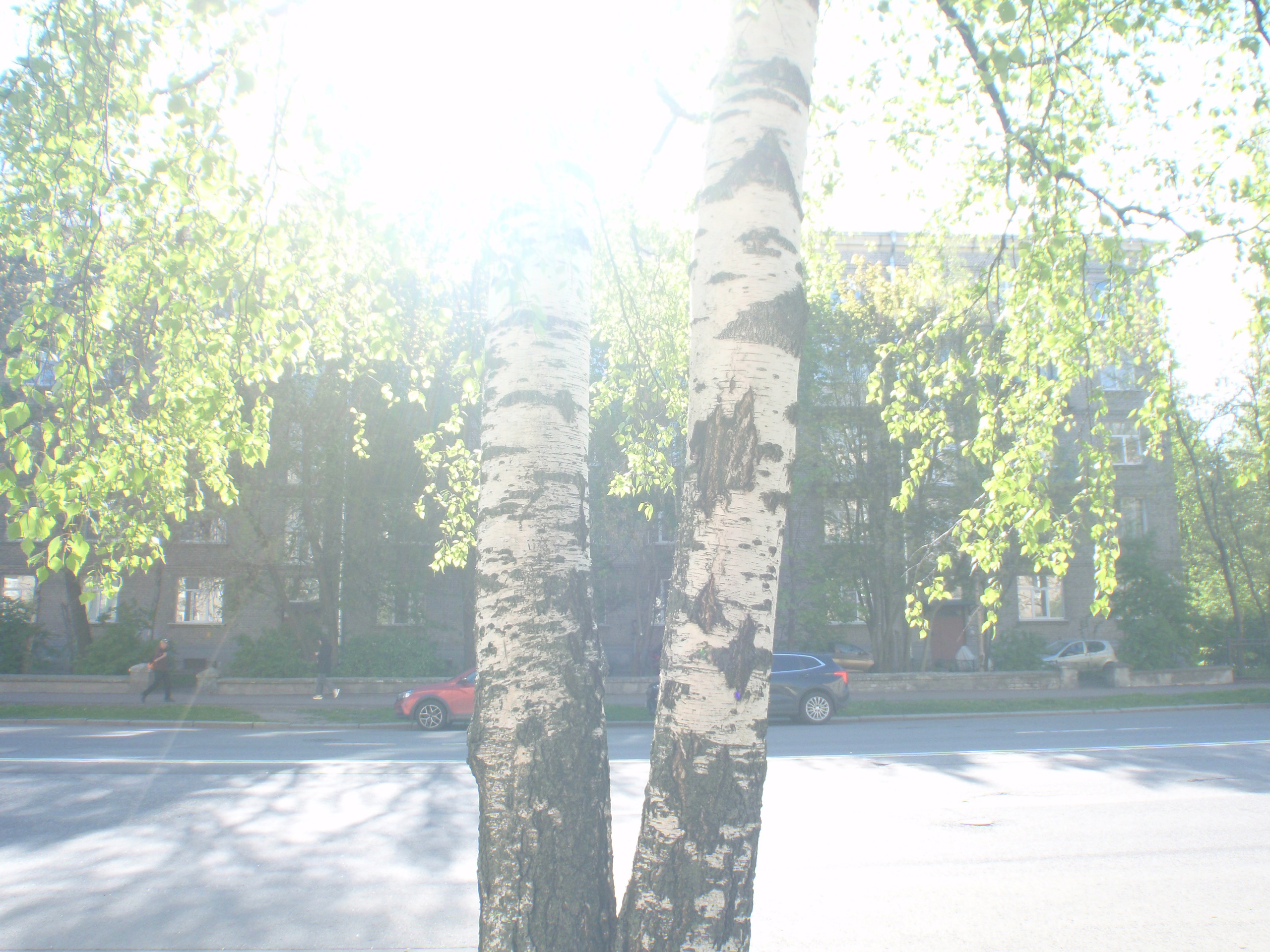 Olimpus mju 1030sw. Анна Мильч