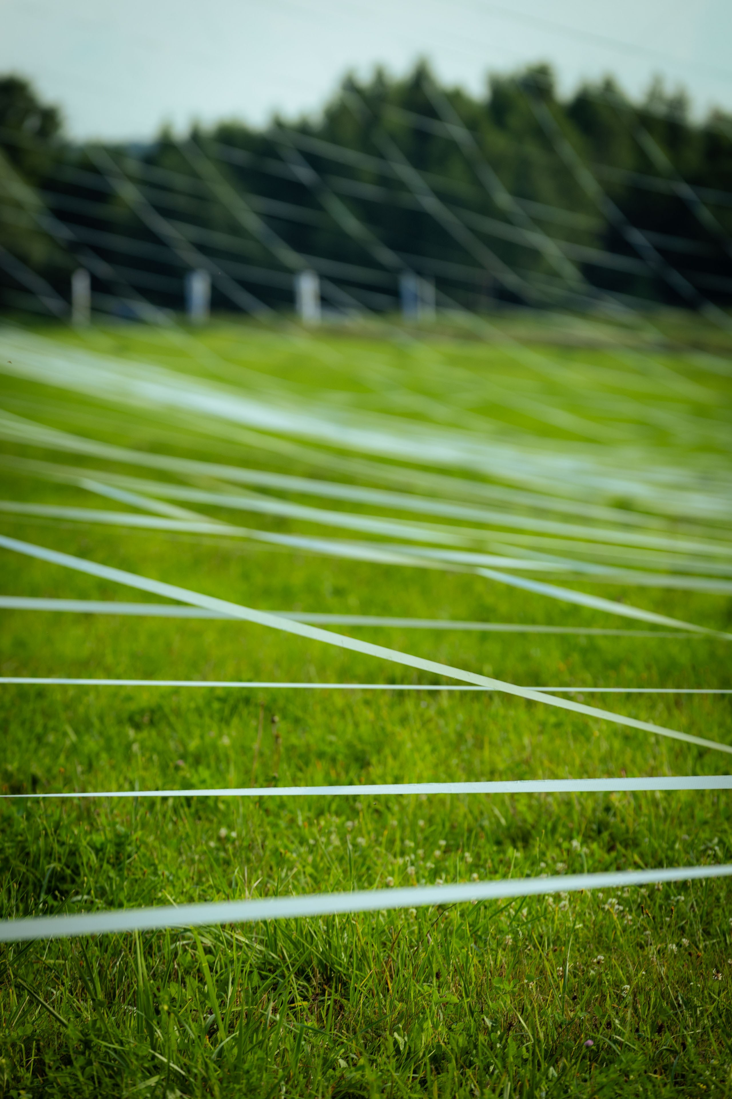 Архстояние 25–27 июля 2025. Фотограф Виноградов Константин