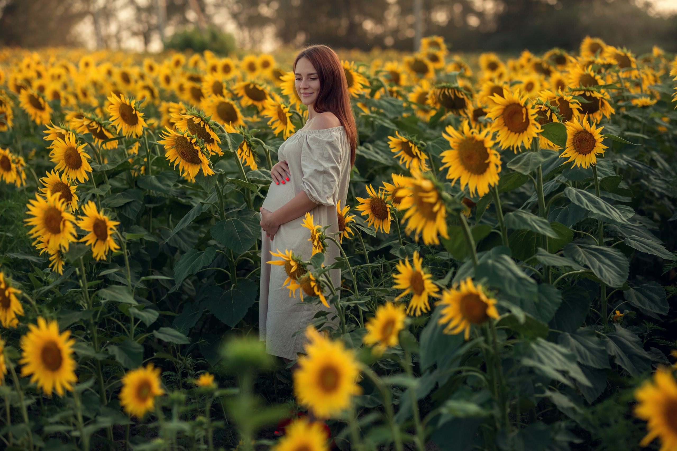 Подсолнухи. Семейный и детский фотограф Екатерина Савёлова