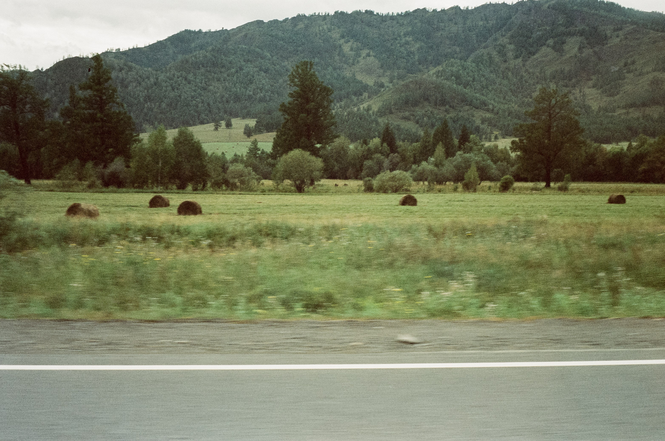 Трасса на Семинский перевал / 30 августа 2024 года