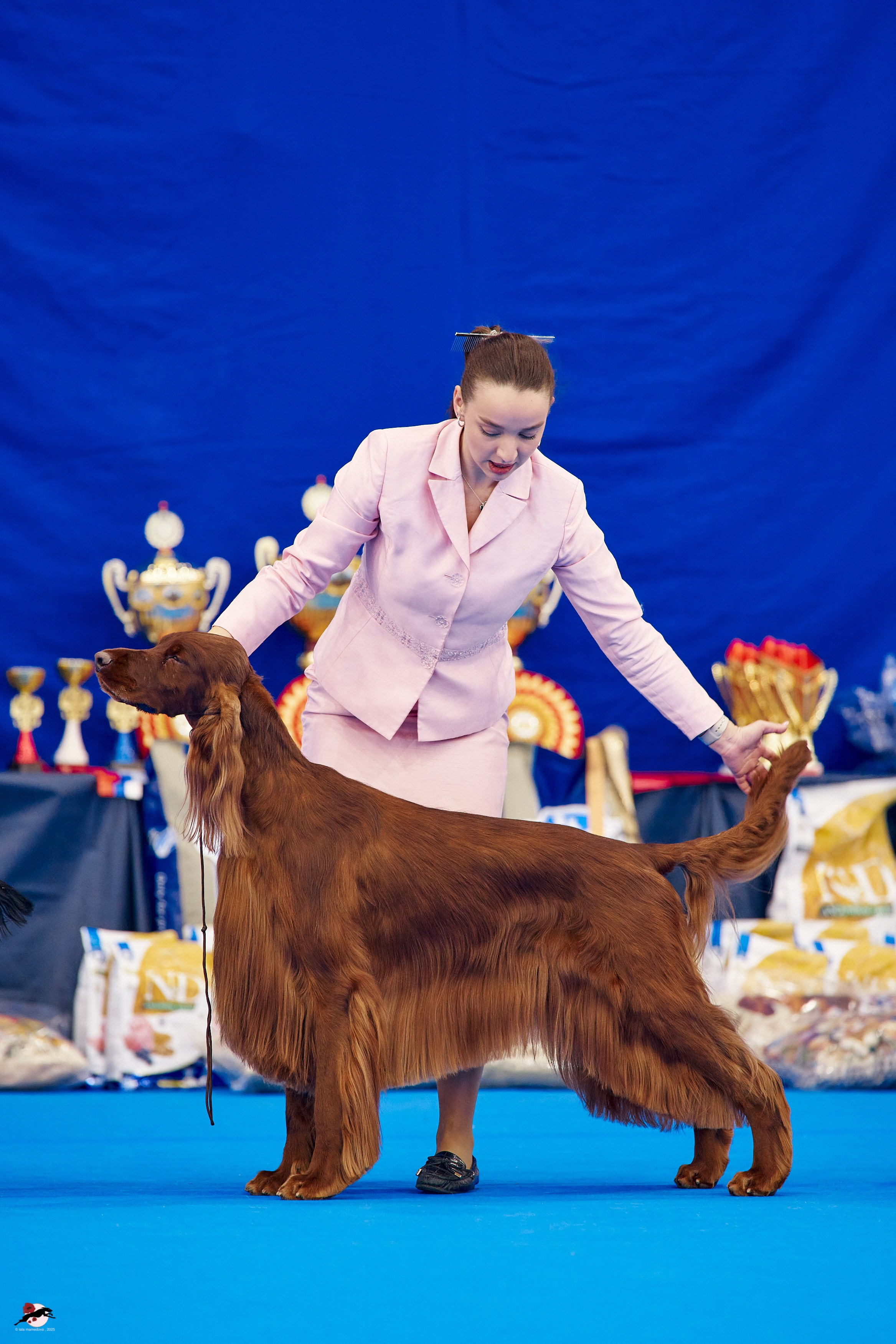 27.04.2025 | "Петербург-Элита 2025" & «КУБОК «ЭЛИТЫ»-2025»