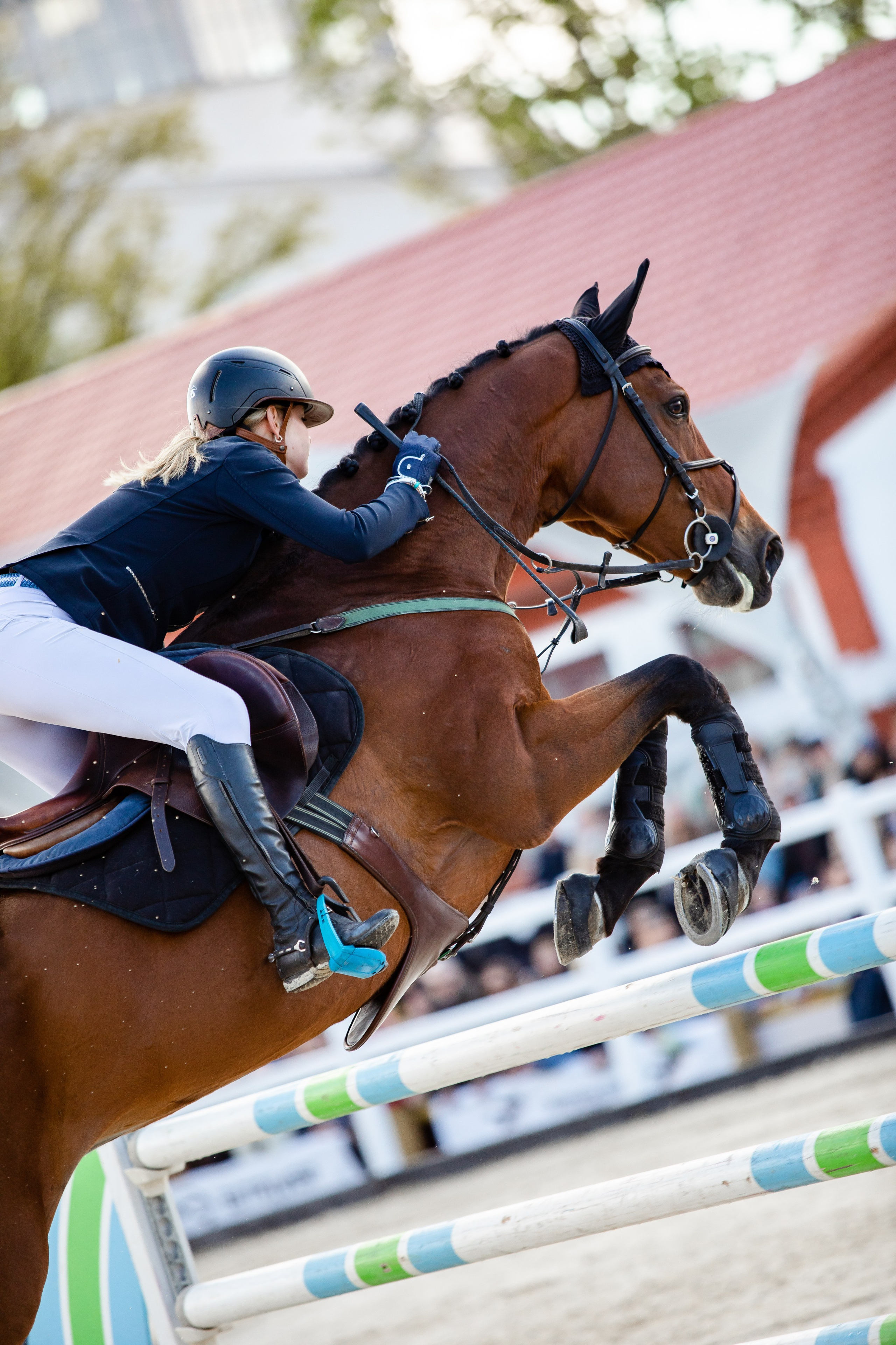 Турниры. Veronika Makeeva horse photo