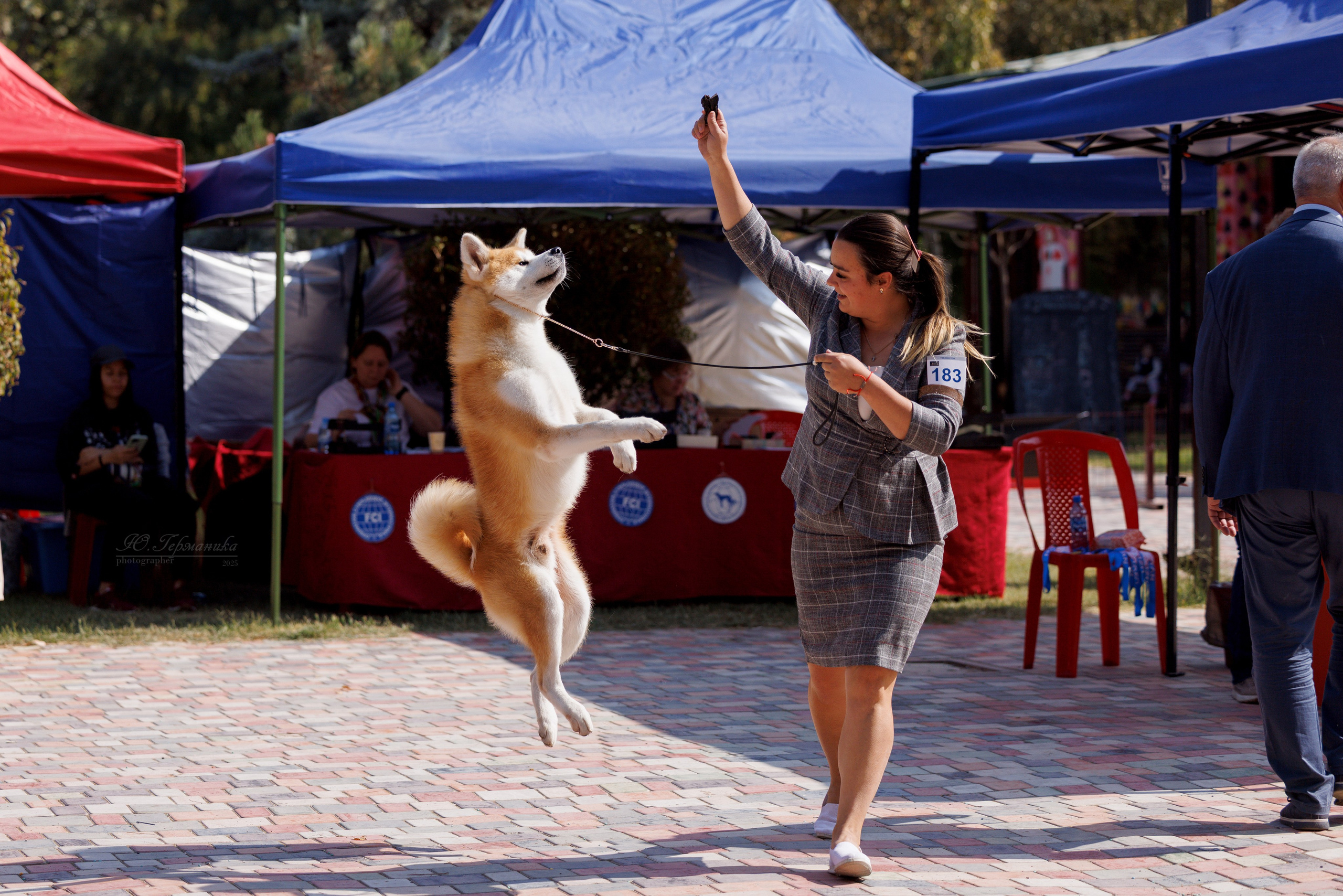 Ташкент 3хCACIB 3-5.10.2025. Фотограф-анималист Юлия Германика
