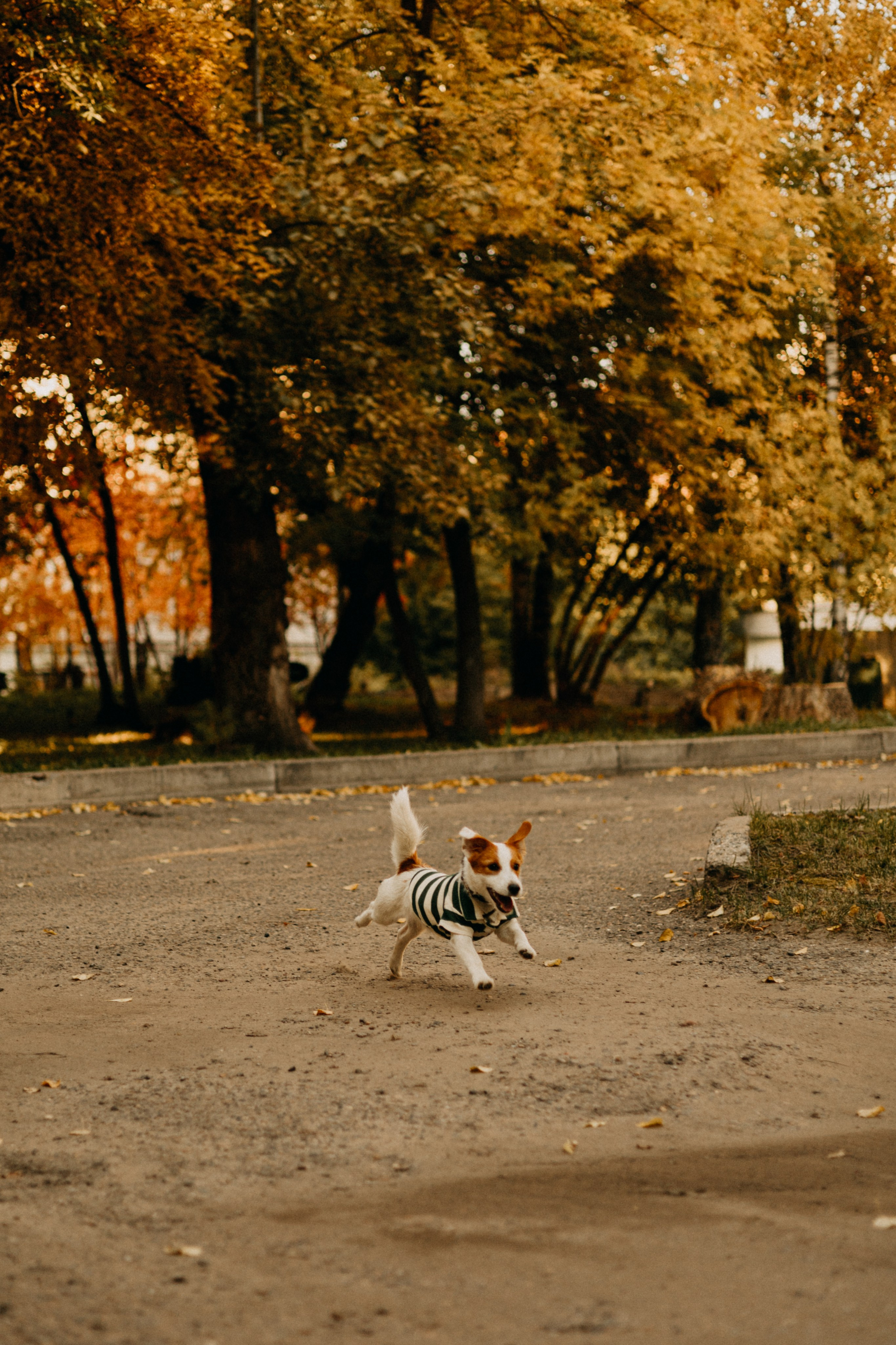 Прогулка втроём. Фотограф Настя Леонова