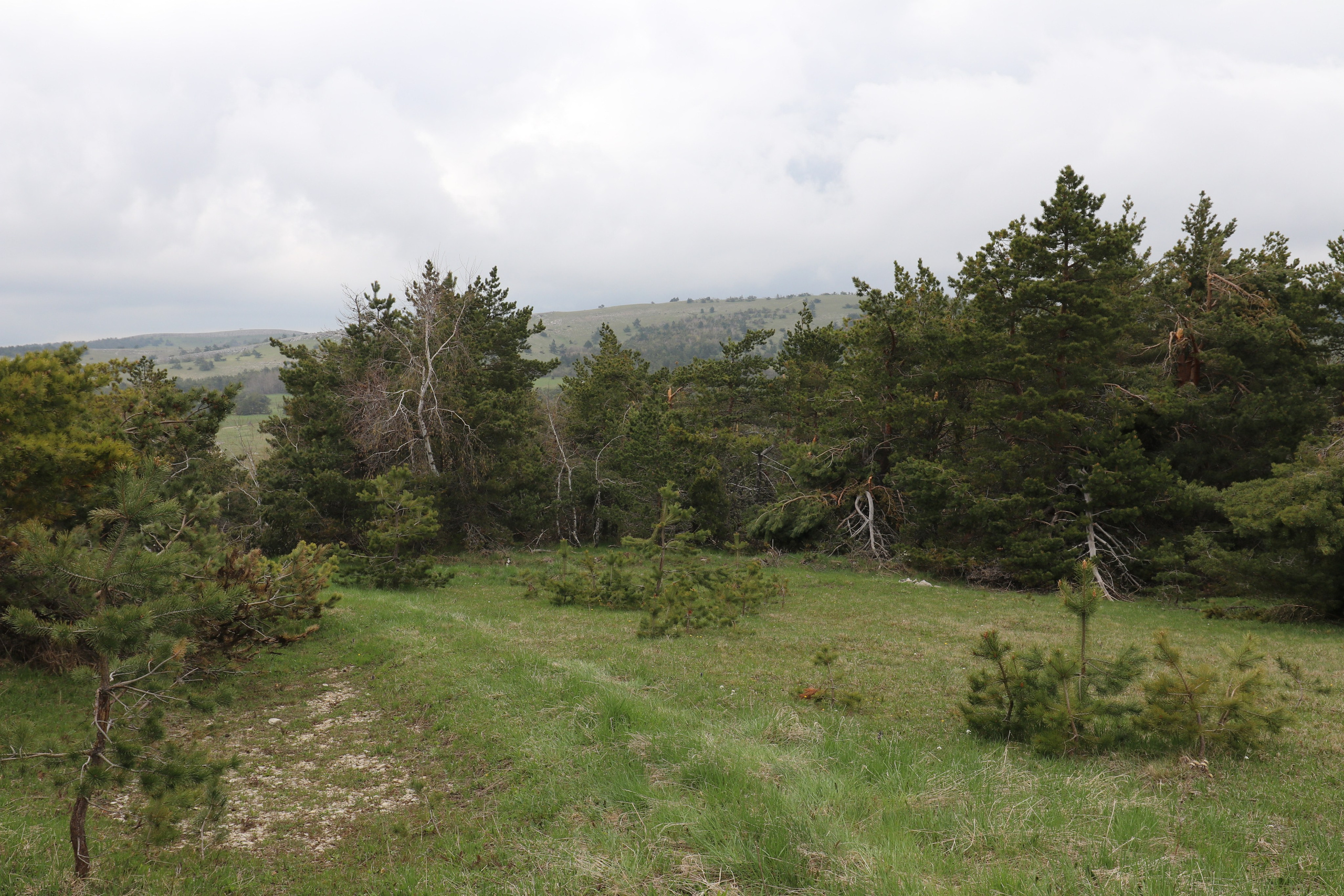 Крым. ЮБК (Бахчисарай, Демерджи, Судак). Первый скалолазный выезд. Май 2019. Путешественник-фотограф из Санкт-Петербурга Татьяна Свистулина