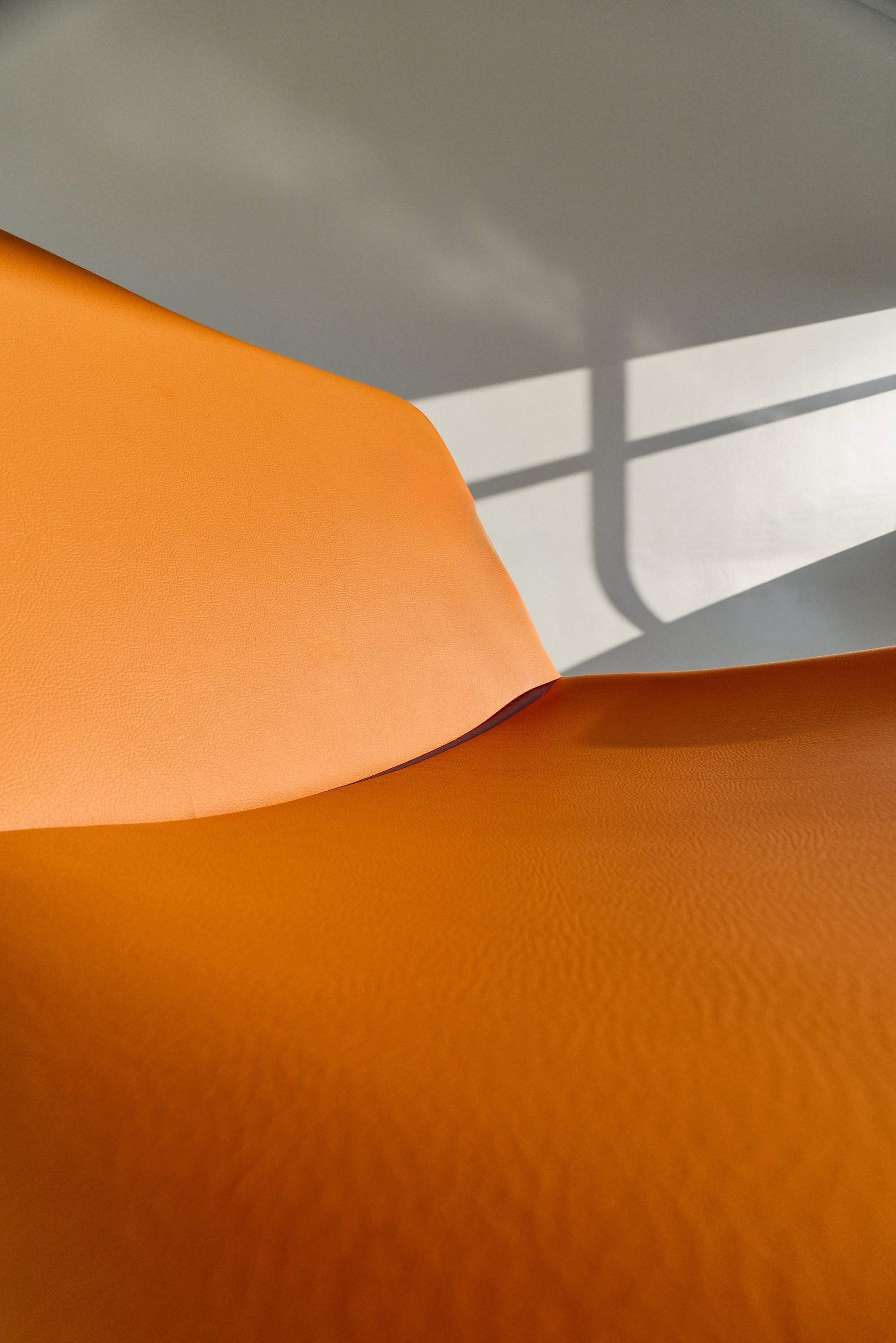 ANNKI STUDIO. Sasha Lapin