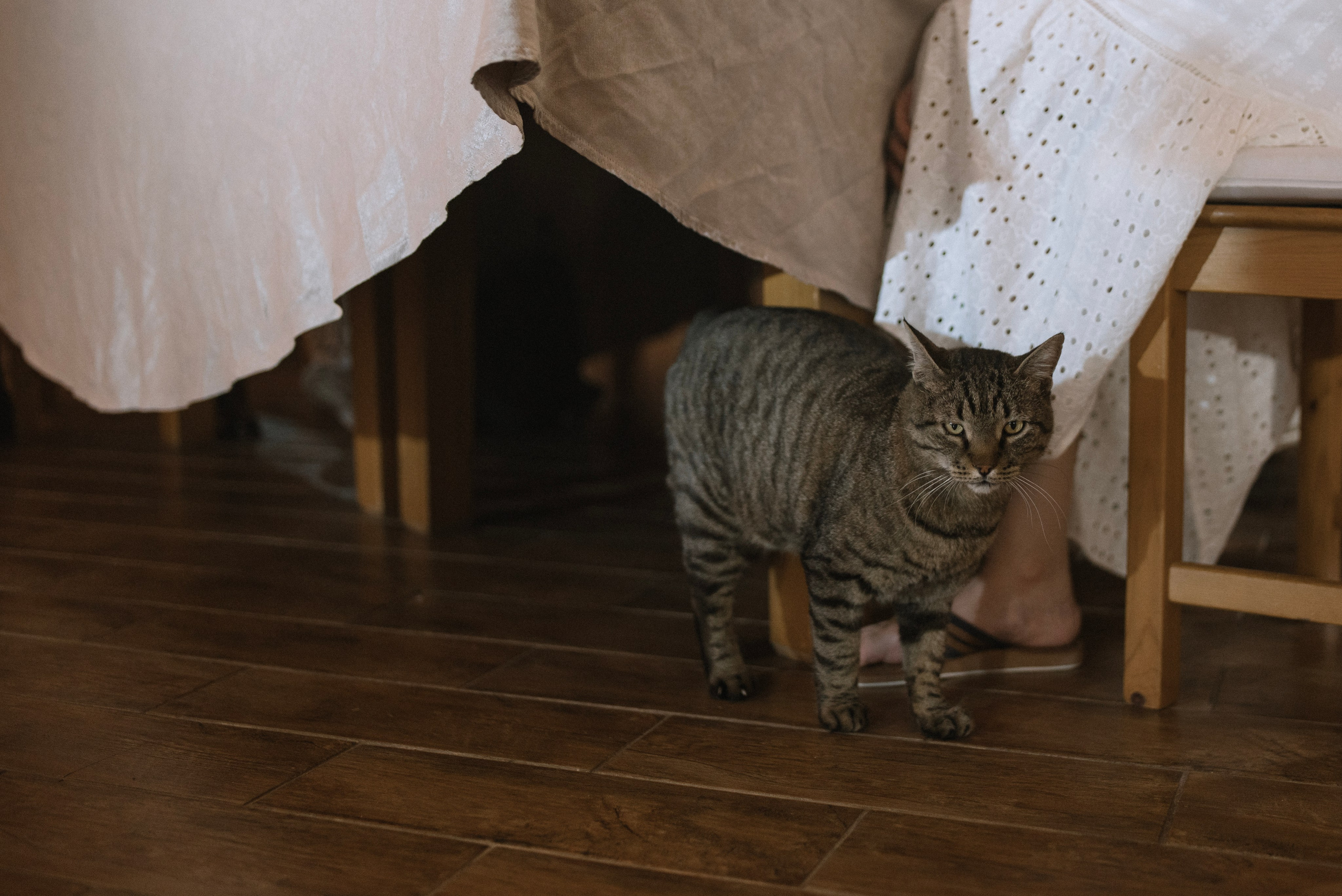 Александр и Анна. Старочеркасск. Фотограф Костикова Анастасия Ростов-на-Дону