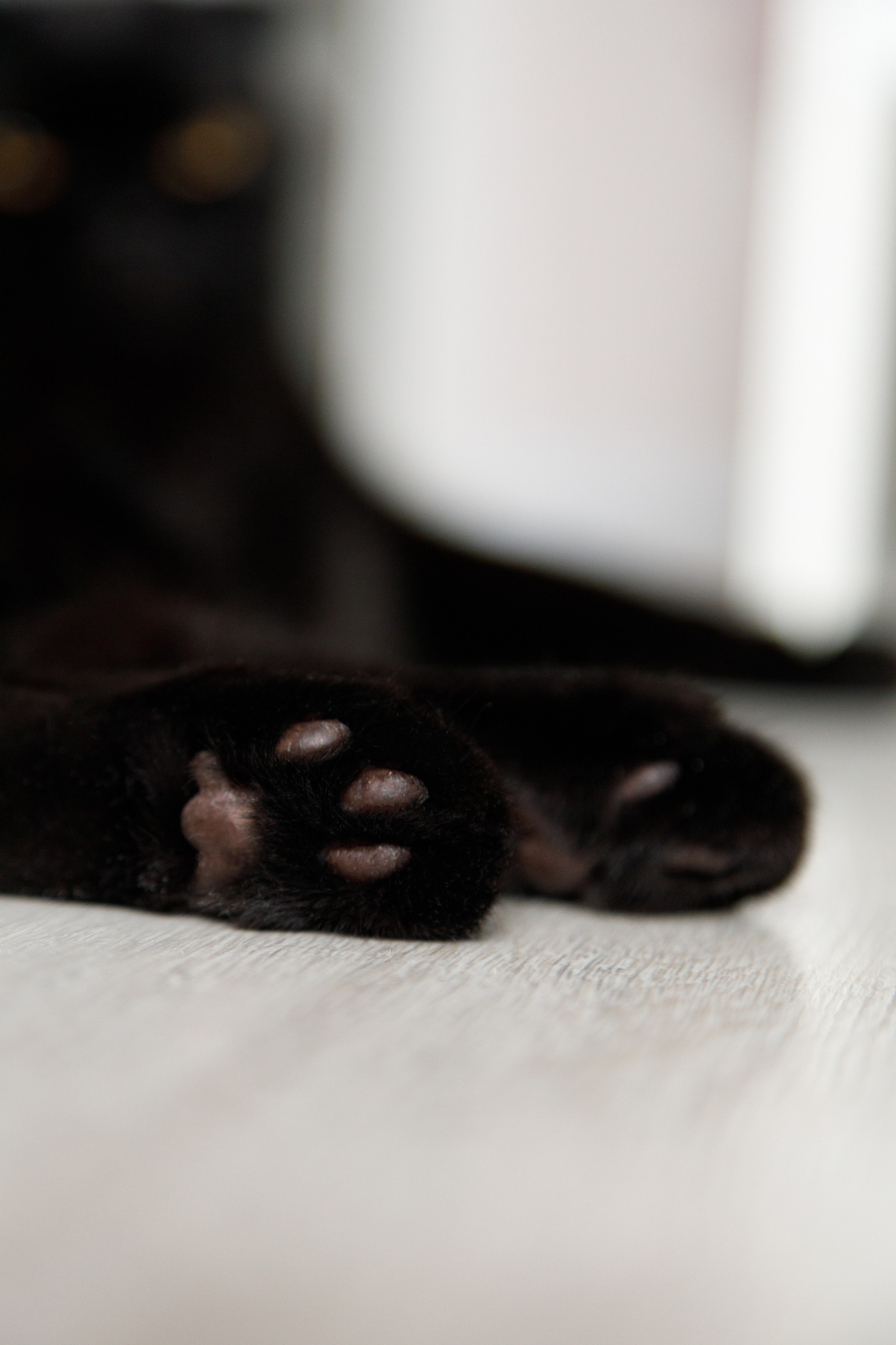 Проект «366»|2024|Фото каждый день. LENA GRACE photographer ||ЛЕНА ГРЭЙС фотограф