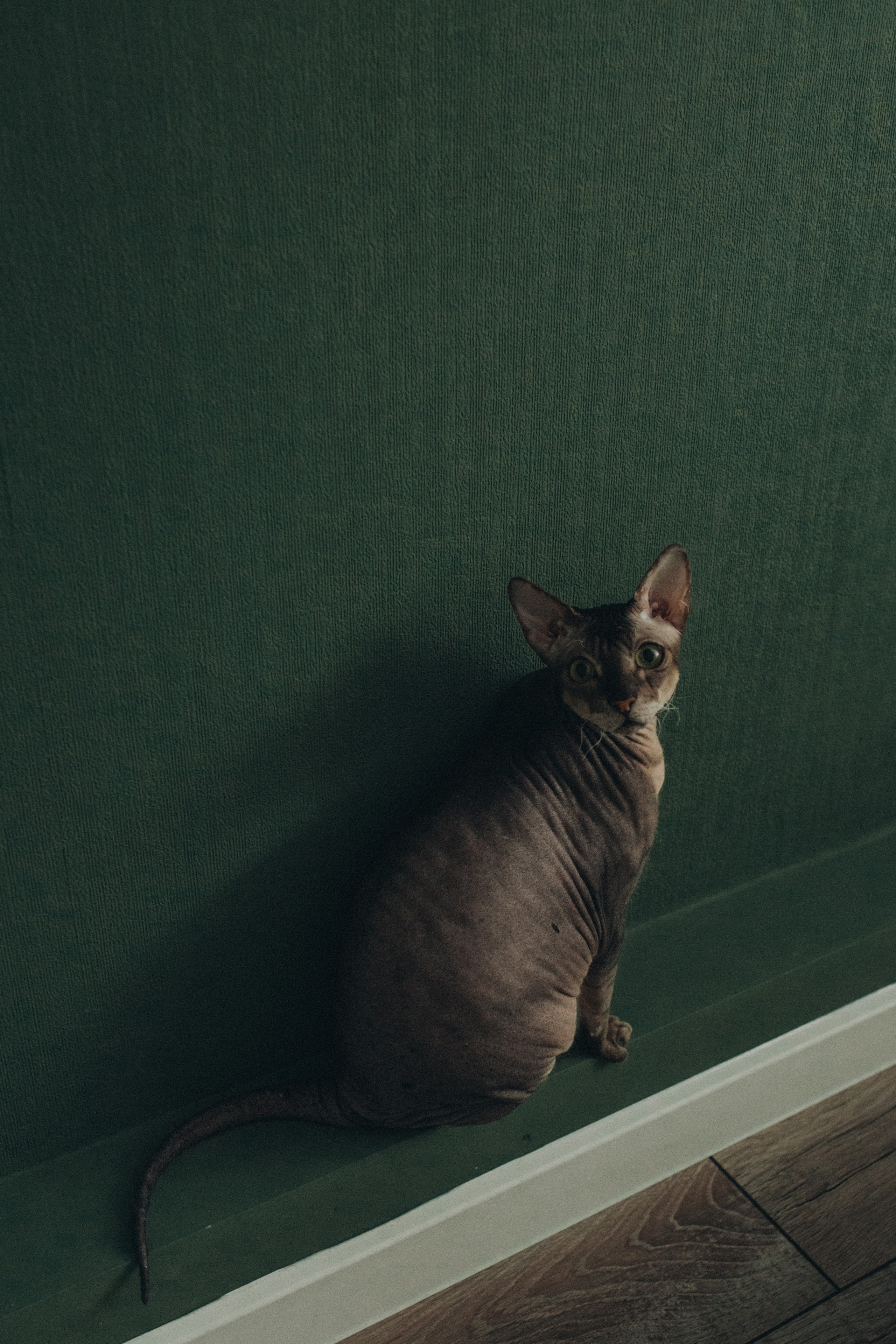 Глеб, Лиля, Андрей, Наташа. Семейный фотограф Томск