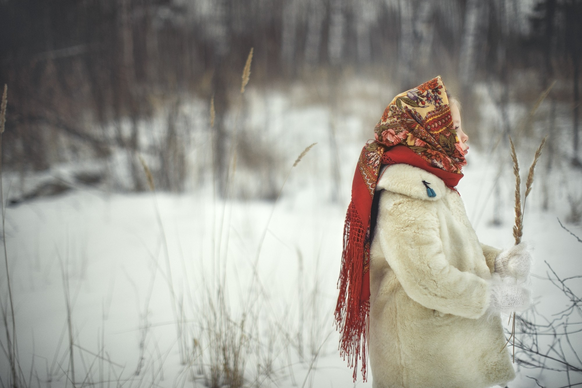 портрет девочки в русско-народном стиле, фотосессия с павловопосадским платком, фото ребенка на природе в зимнее время, ретро одежда на фотосессии, фото ребенка с леденцом петушок на палочке