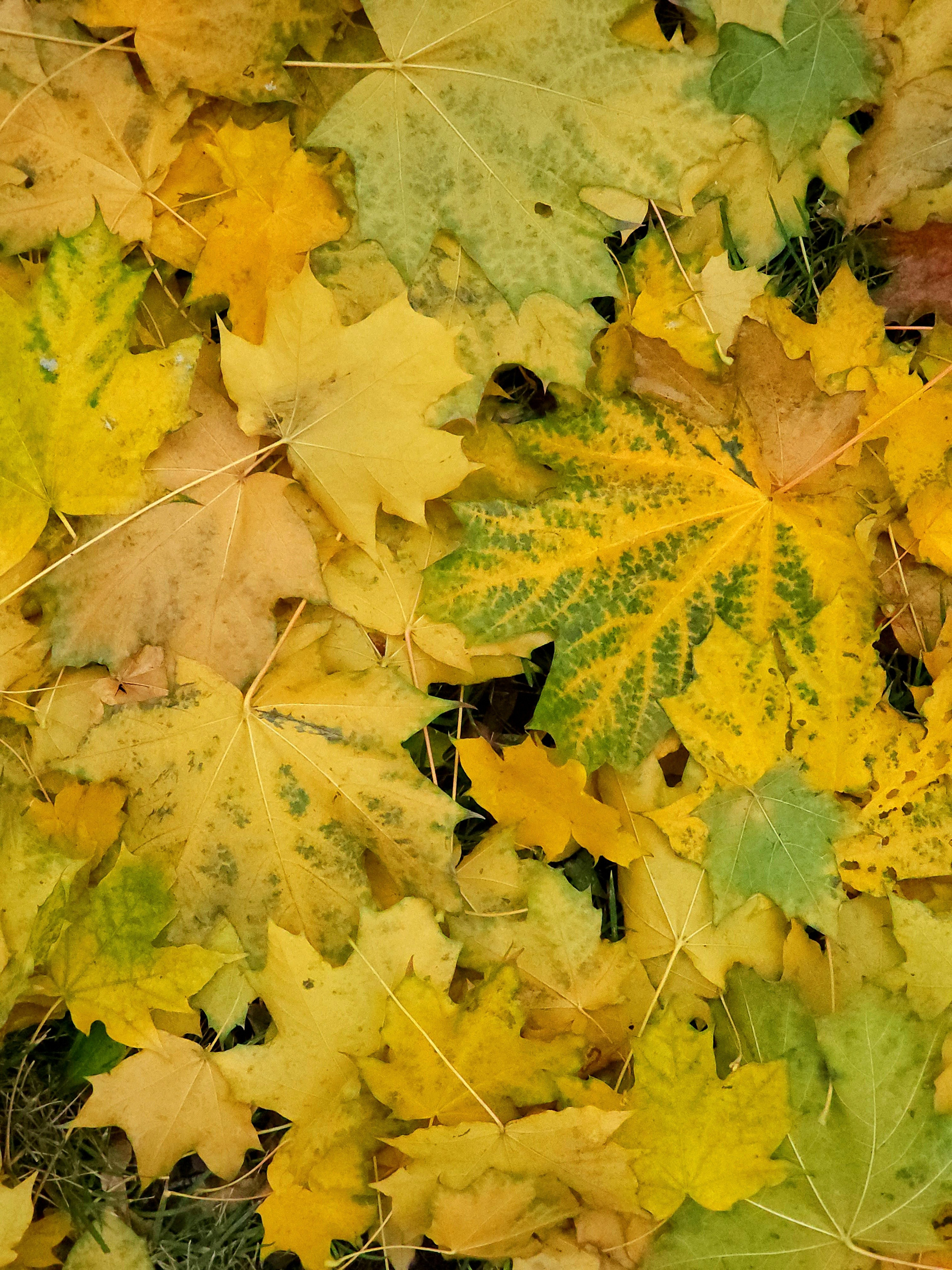 Репортажный фотограф Константинов Сергей