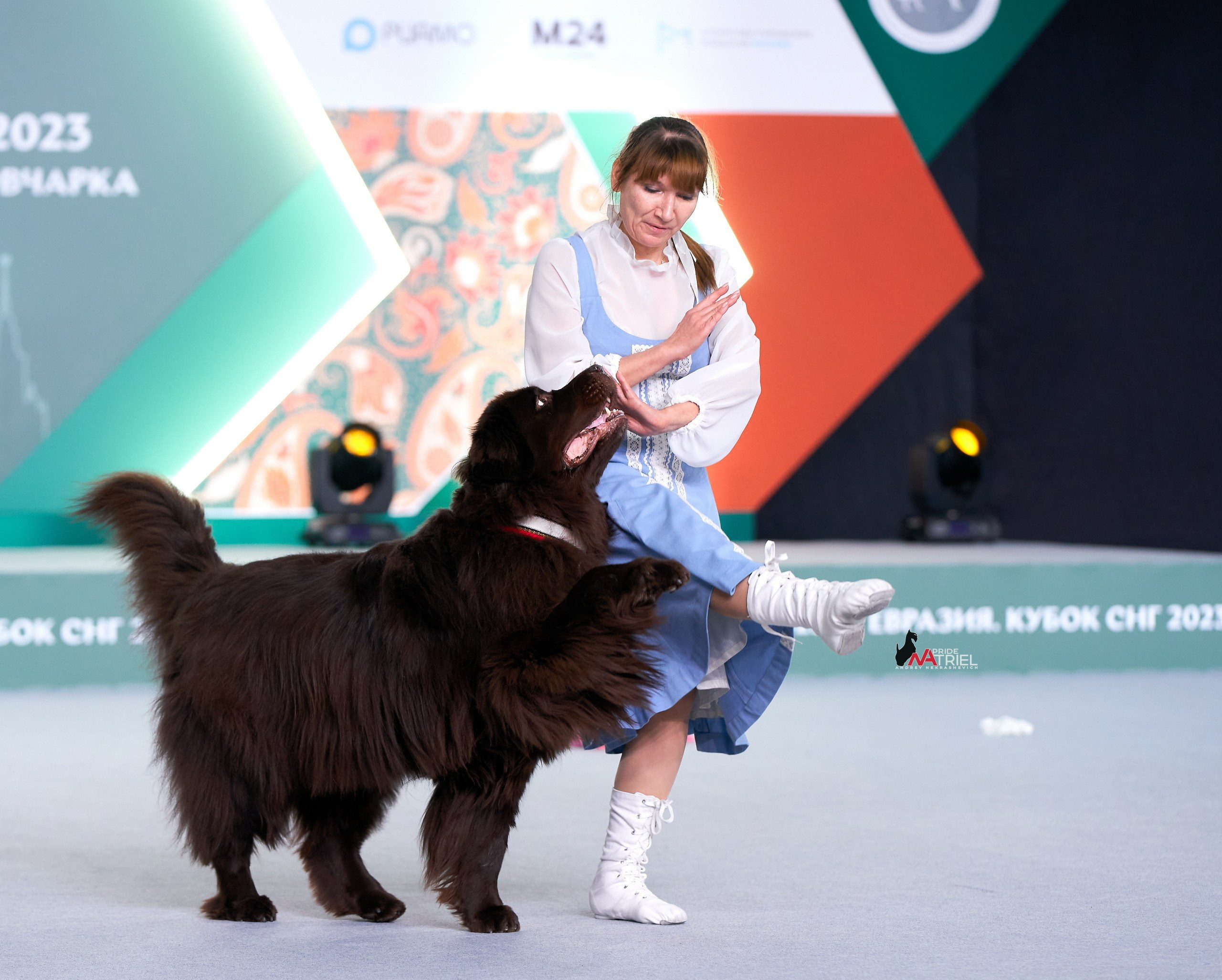 Обидиенс и танцы с собаками — галерея NATRIEL