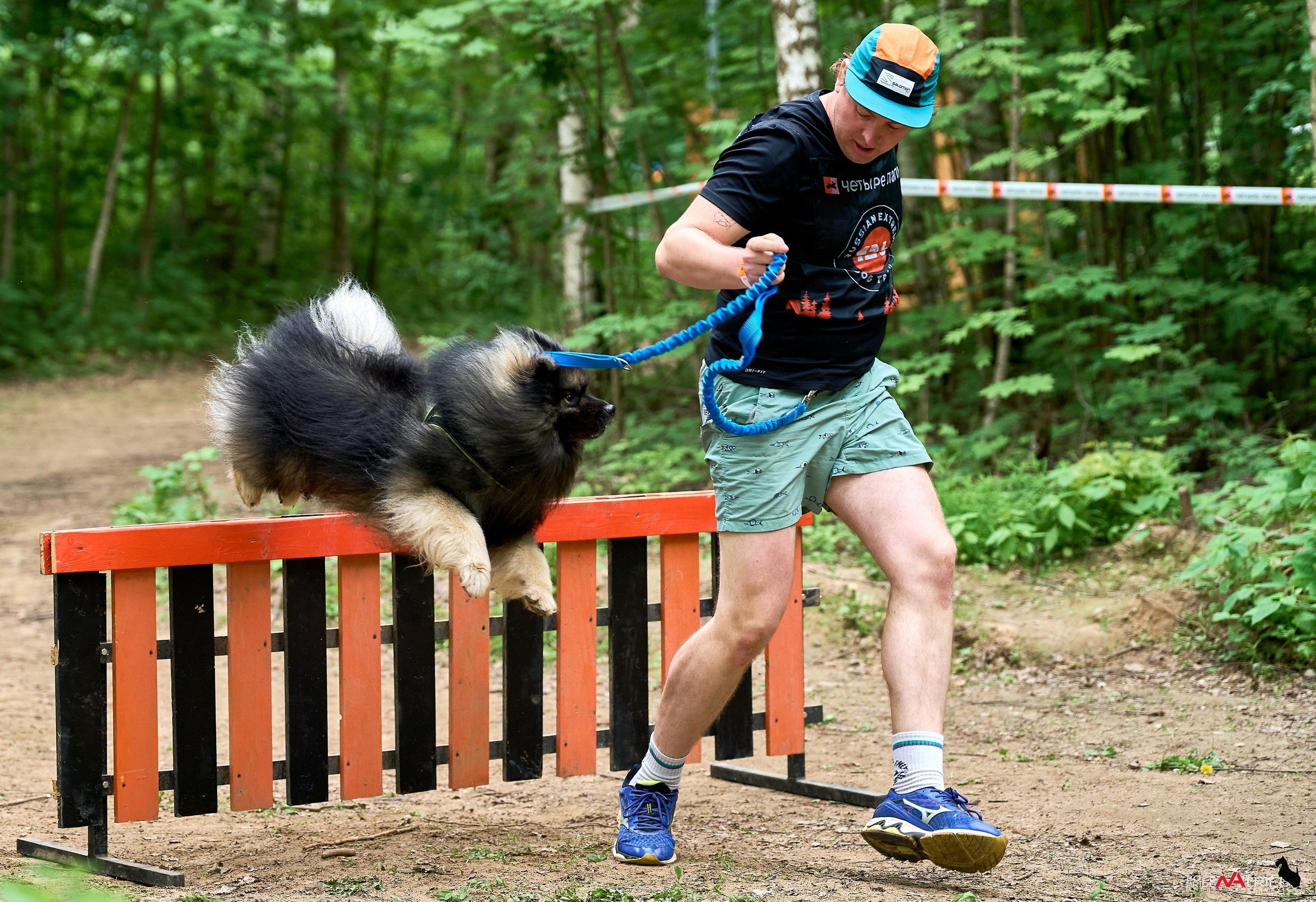 Russian Extreme Dog Trail — 2025