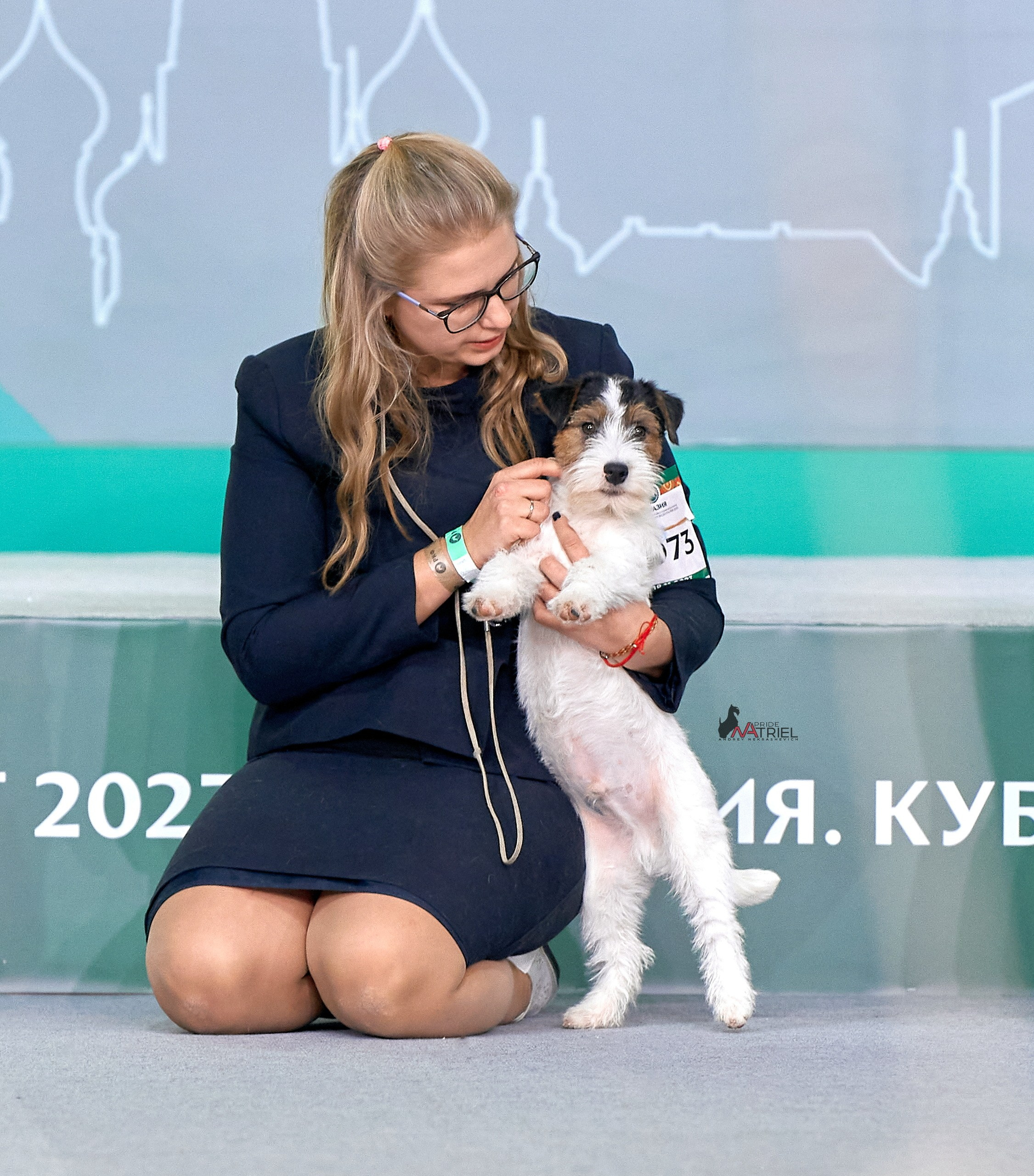 Работа в рингах — галерея NATRIEL